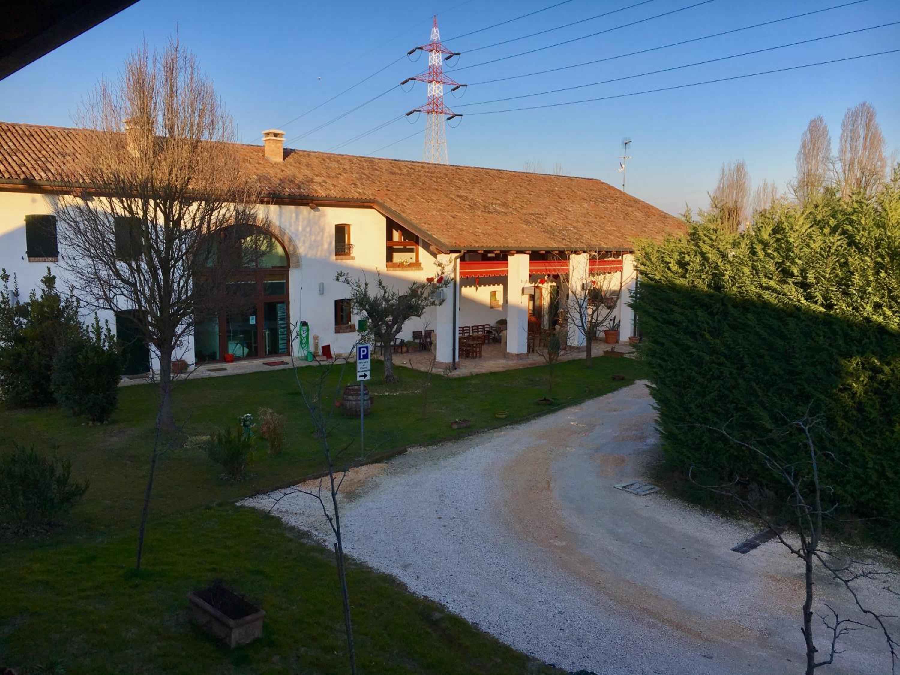 Photo 41