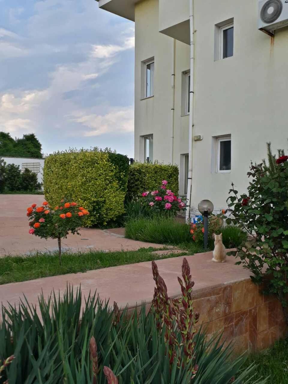 Villa Byala Grape House