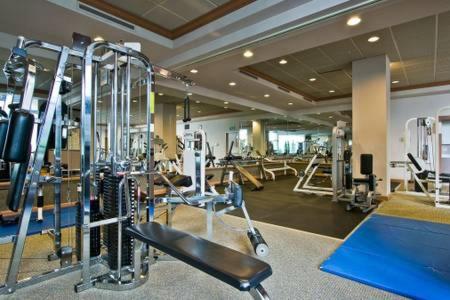 Serene Condo in SF/North Beach/Telegraph Hillside view 5