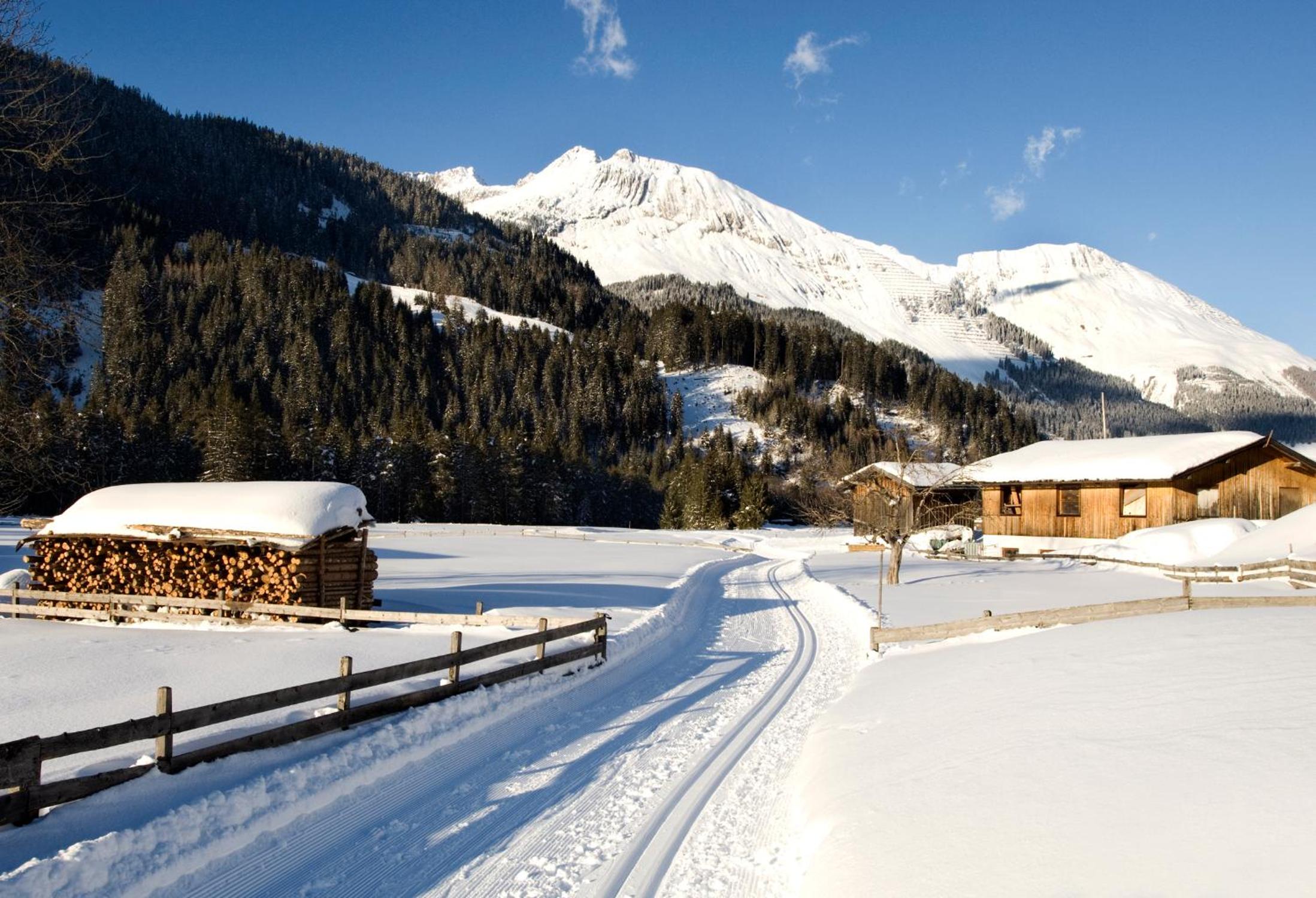 Ferienhaus Gapp