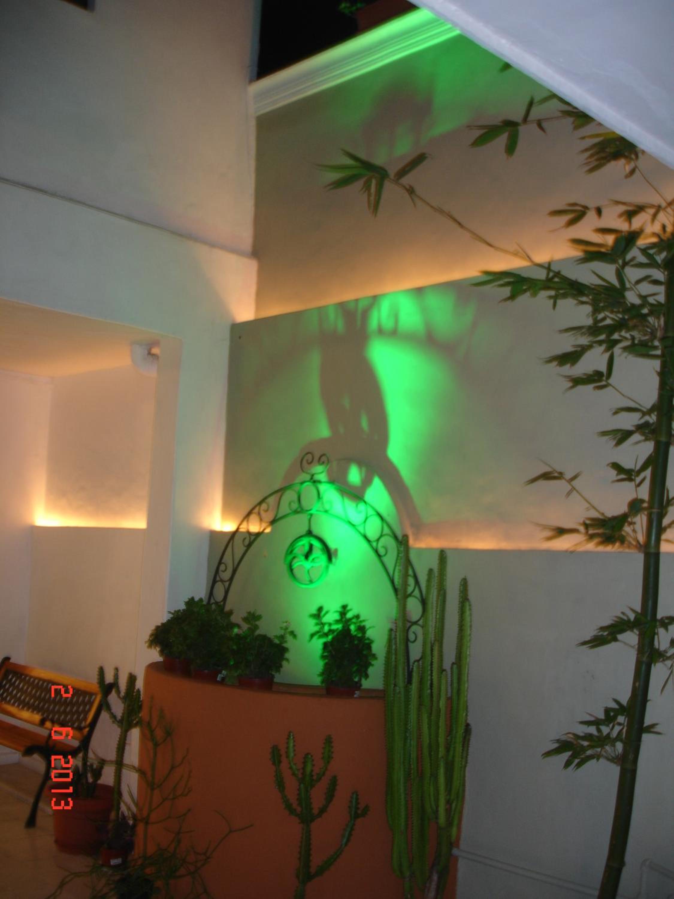 Photo 9