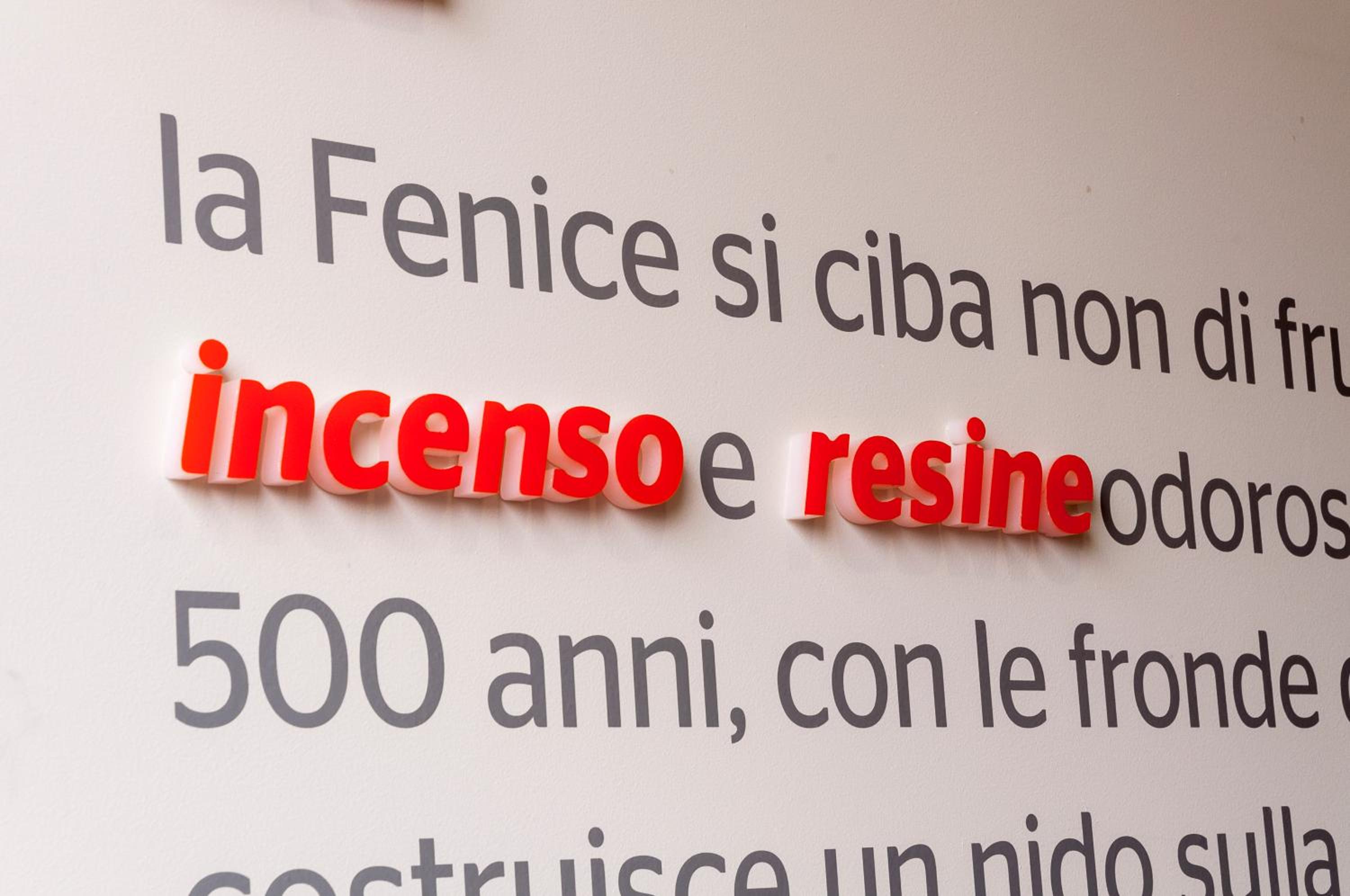 VILLA FENIX OSIO SOTTO