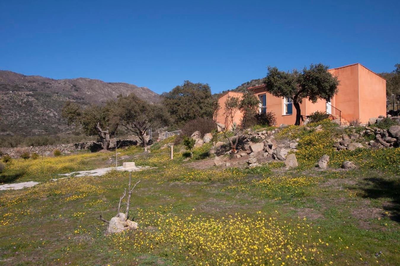 Finca el Rabilargo view 3