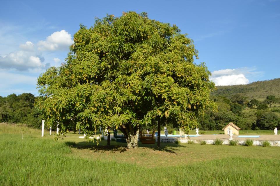 Fazenda Pousada Cachoeira do Flávio