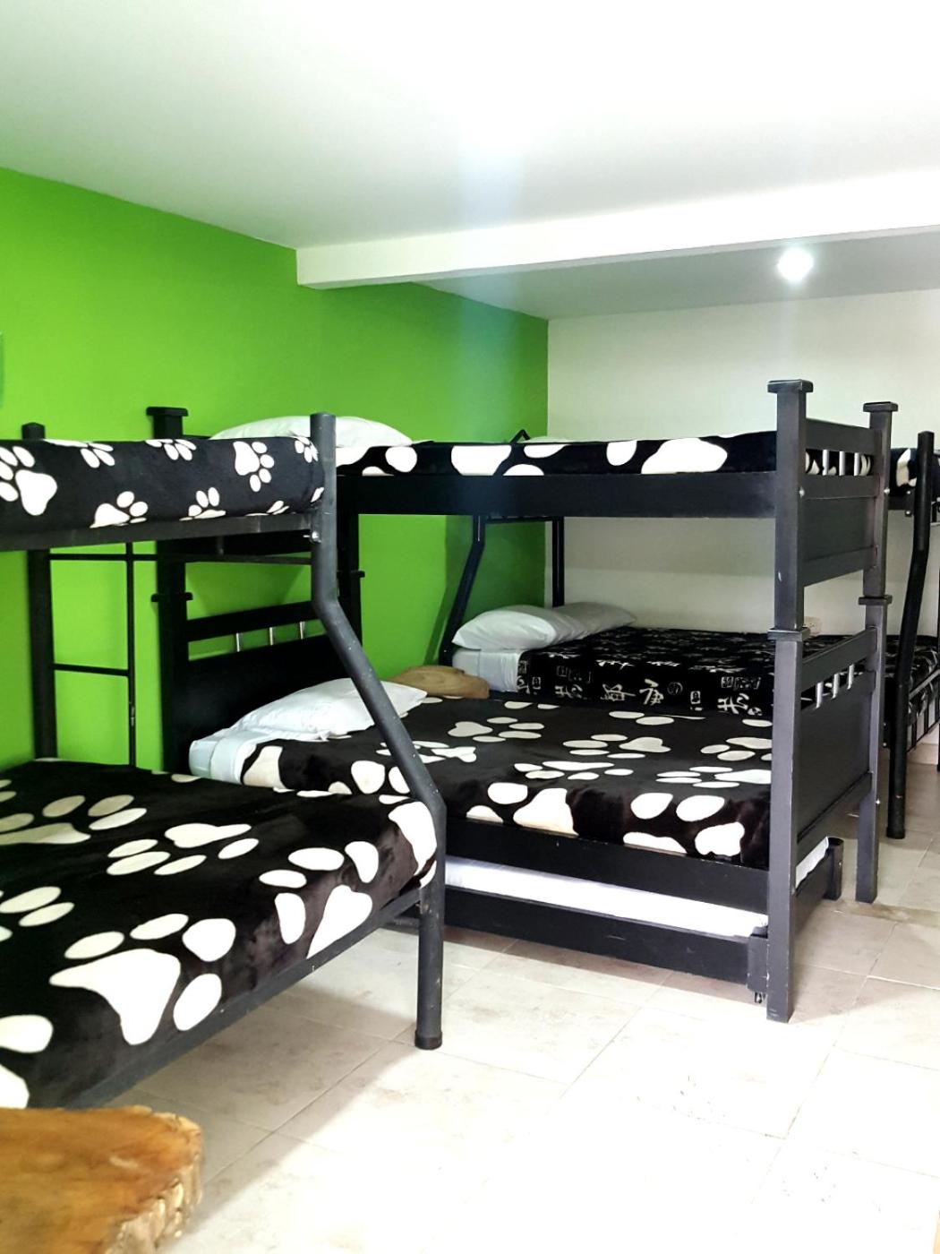 Hostal y Camping Los Girasoles