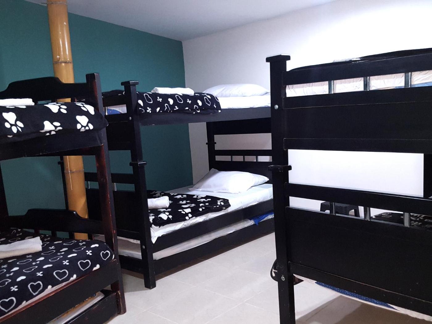 Hostal y Camping Los Girasoles