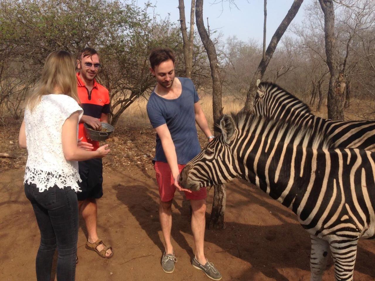 Imbube Safari Lodge