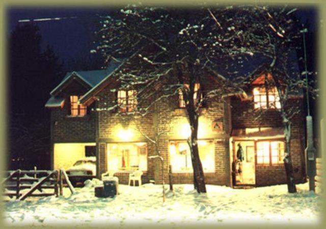 Puma Hostel