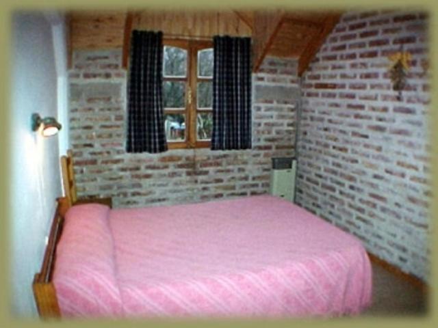 Puma Hostel