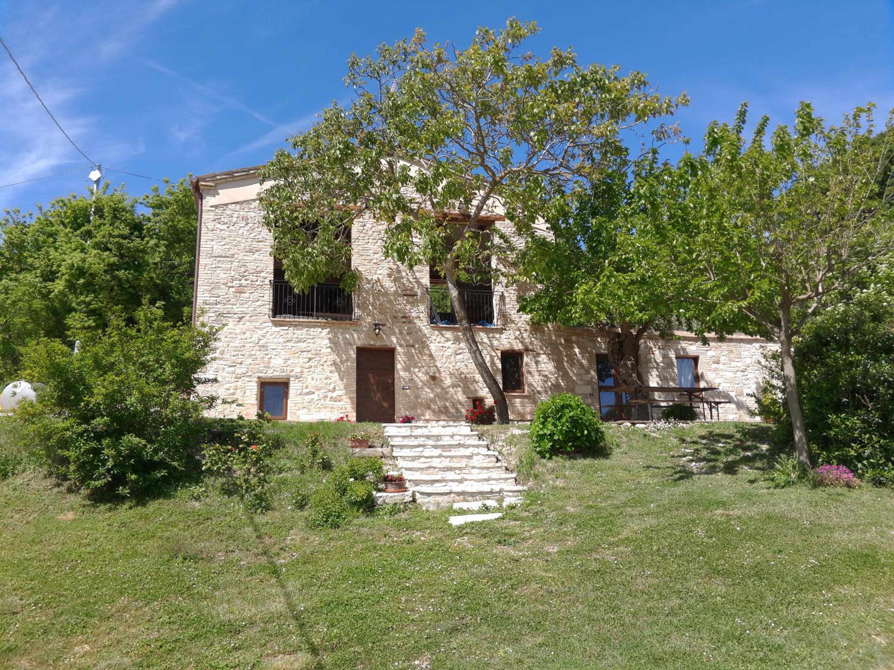 B&B Bosimano
