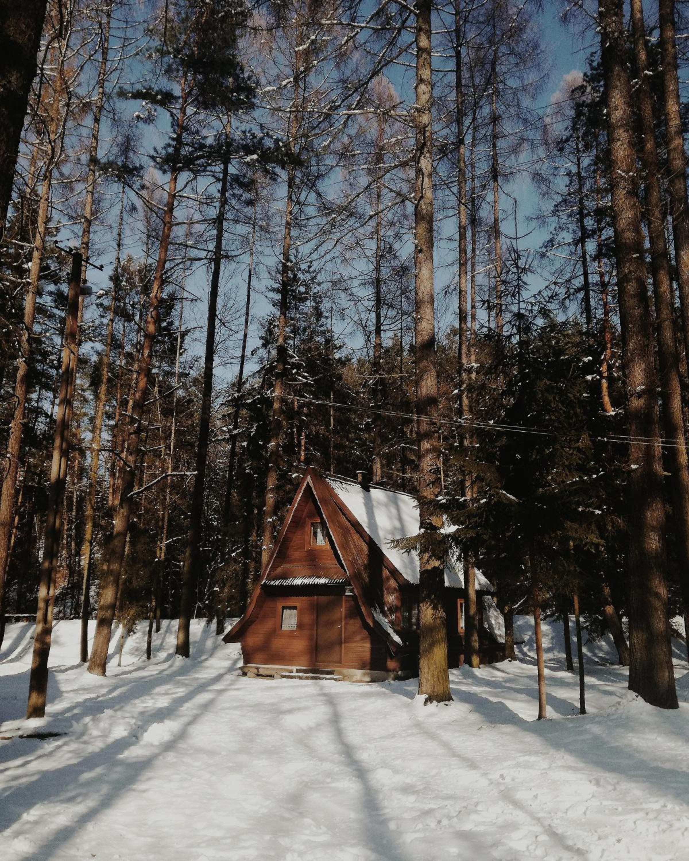 Photo 37