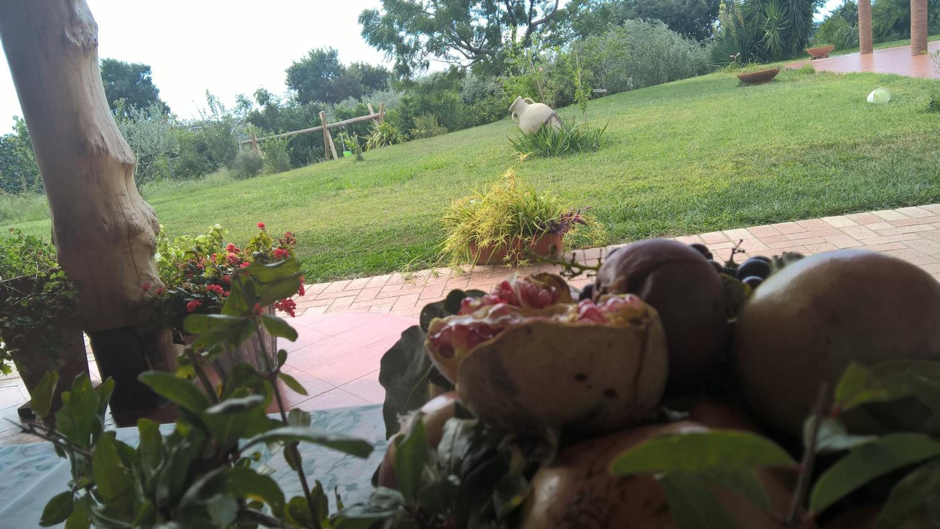 B&B Macchia d'Olmo