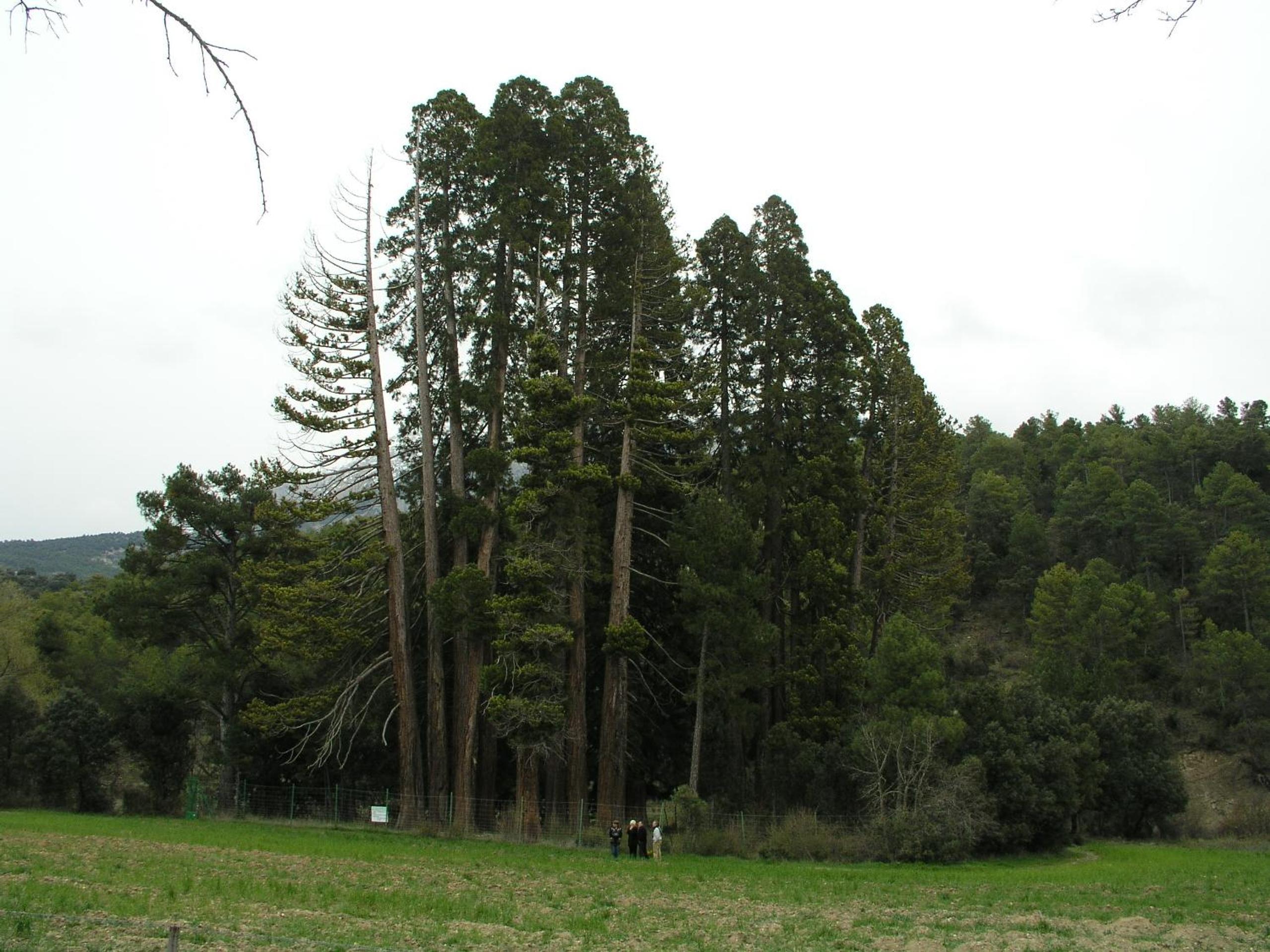 Photo 31