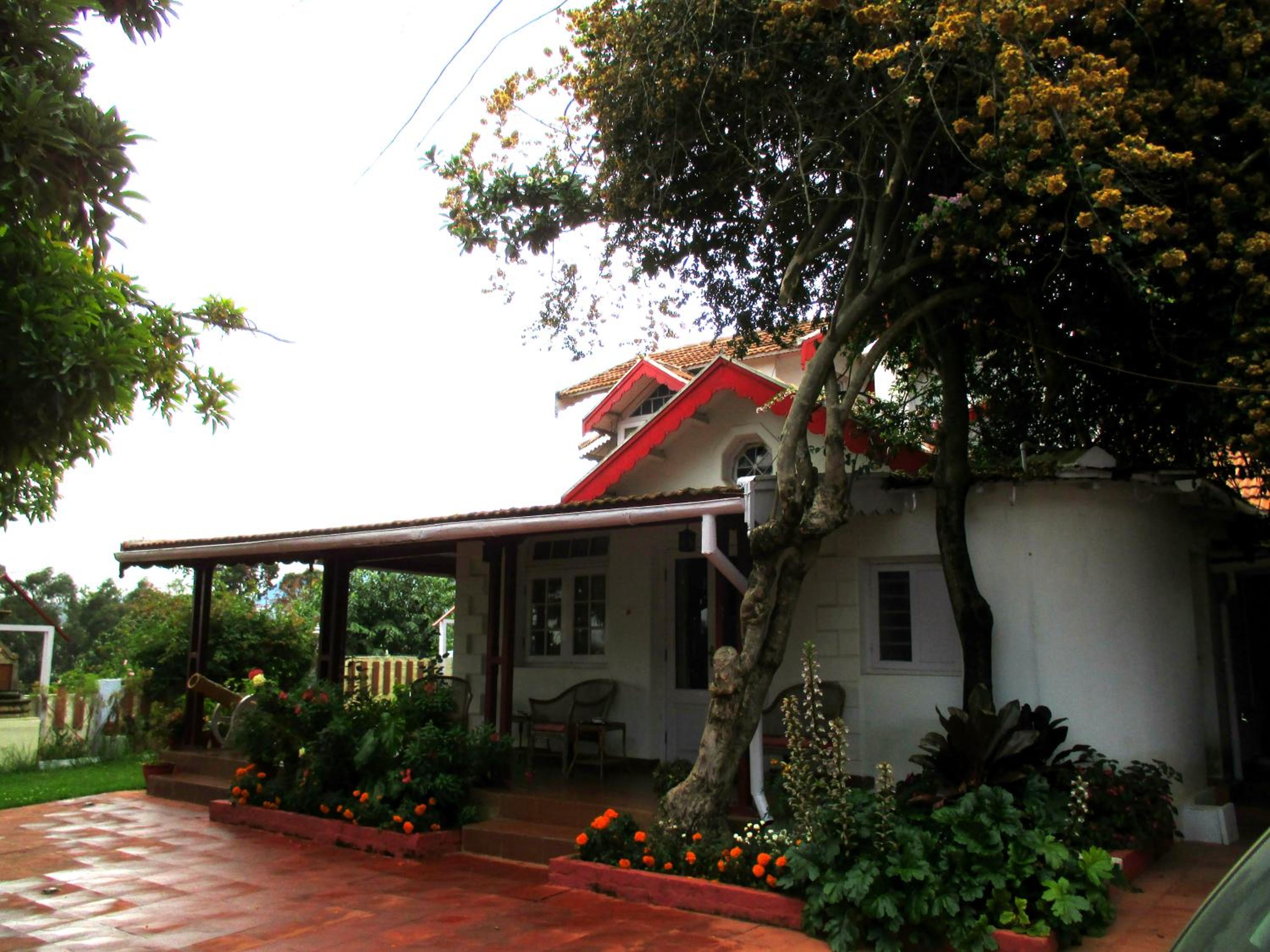 Photo 40