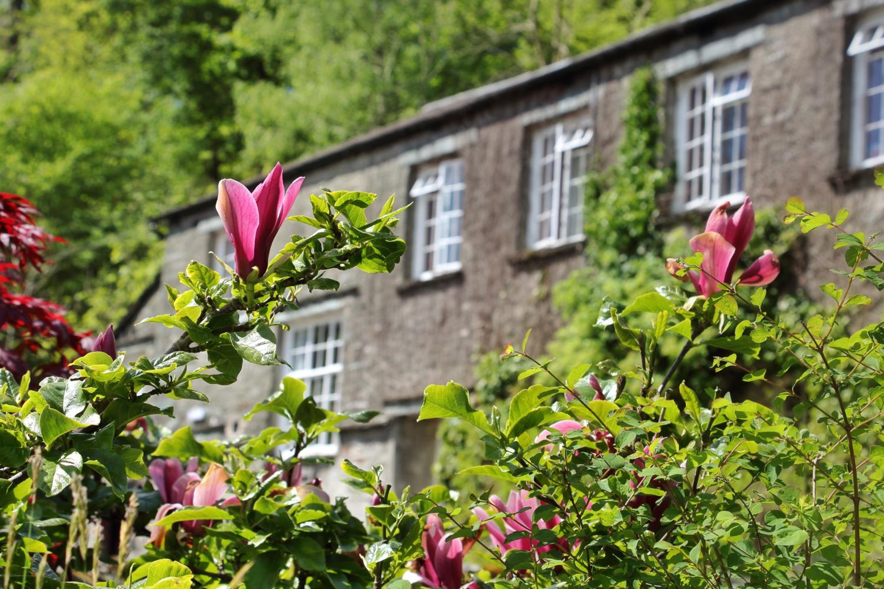 Elterwater Hostel