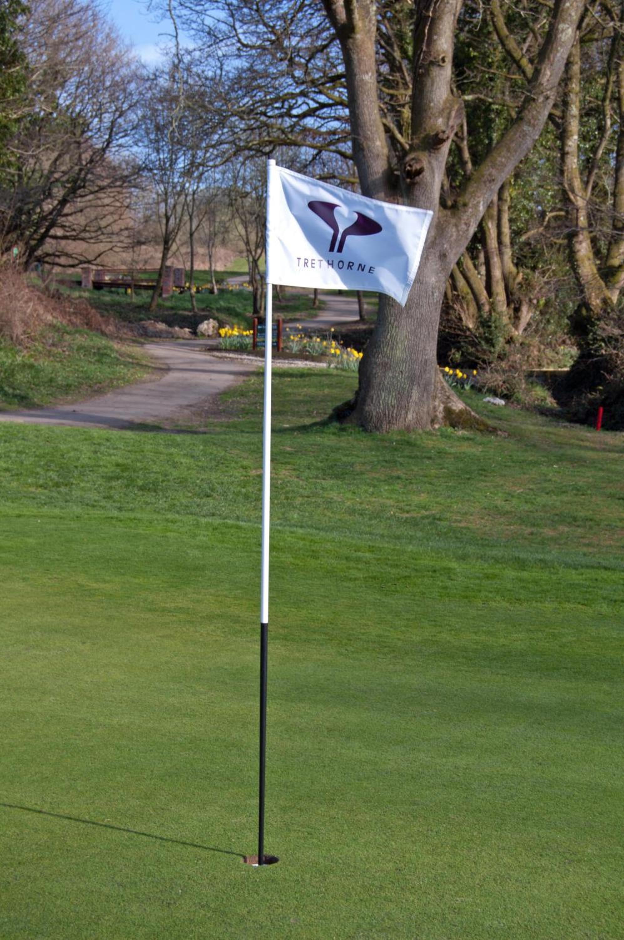 Trethorne Hotel & Golf Club, Foto 60