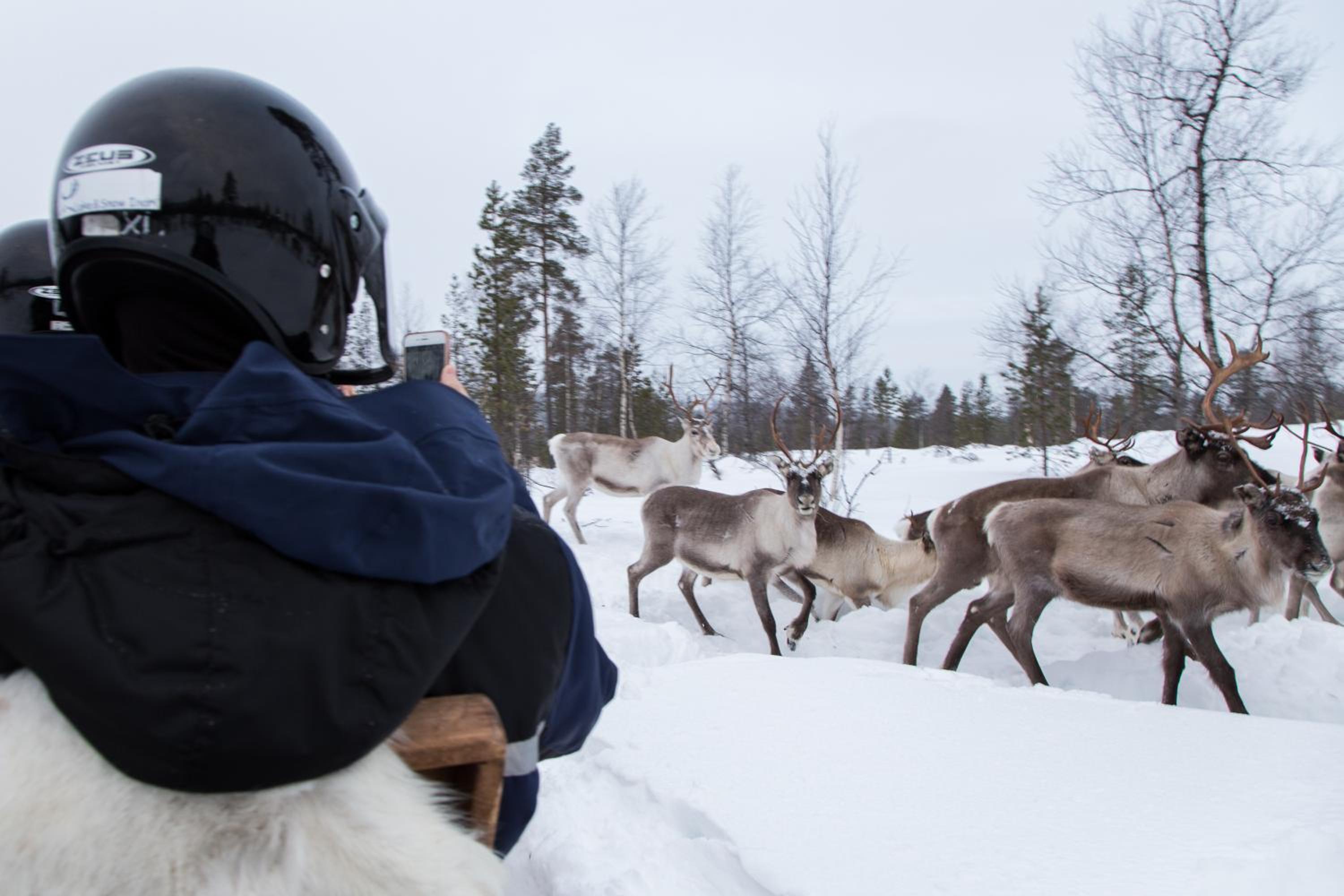Holiday Village Inari