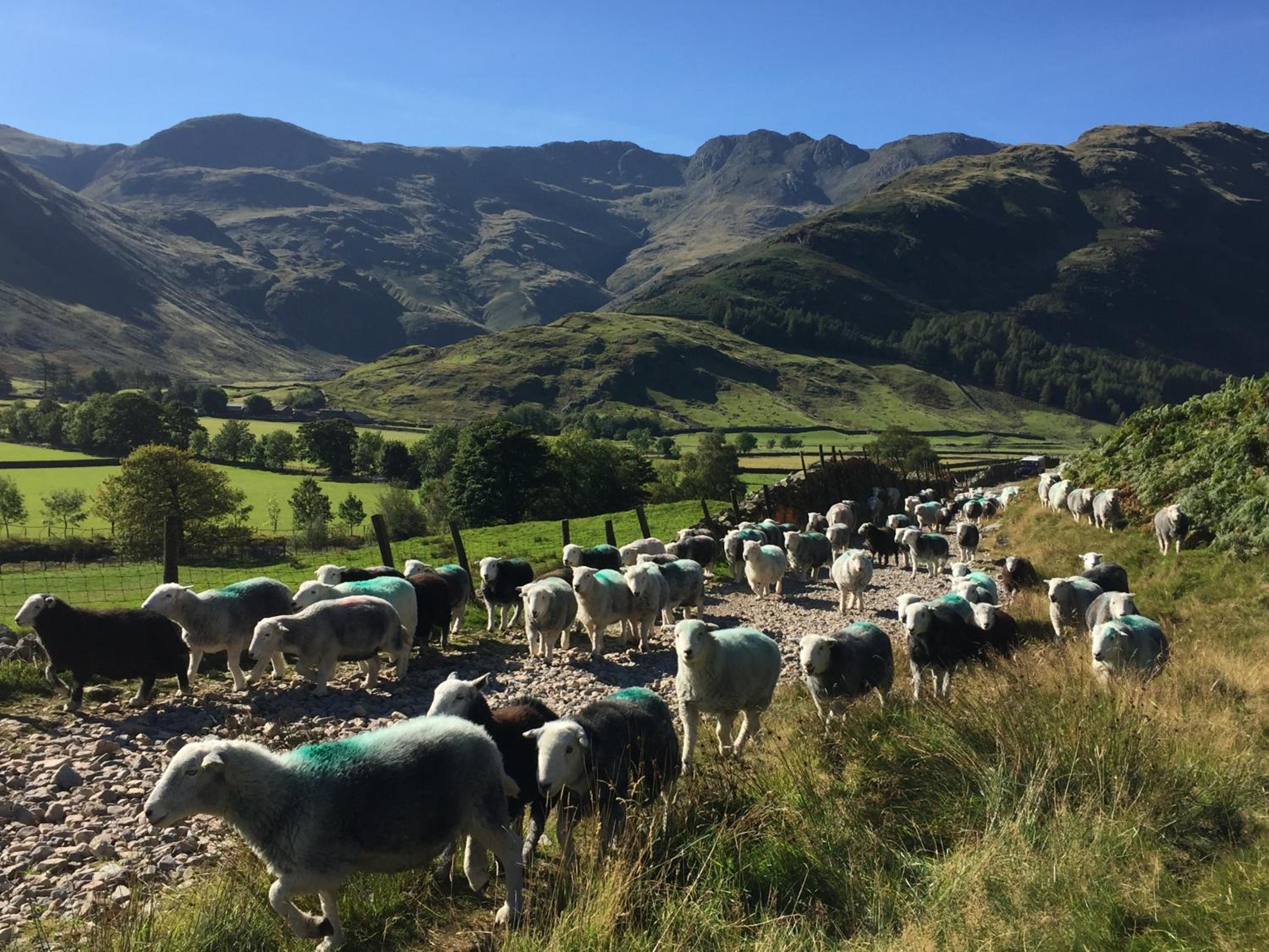 Elterwater Hostel