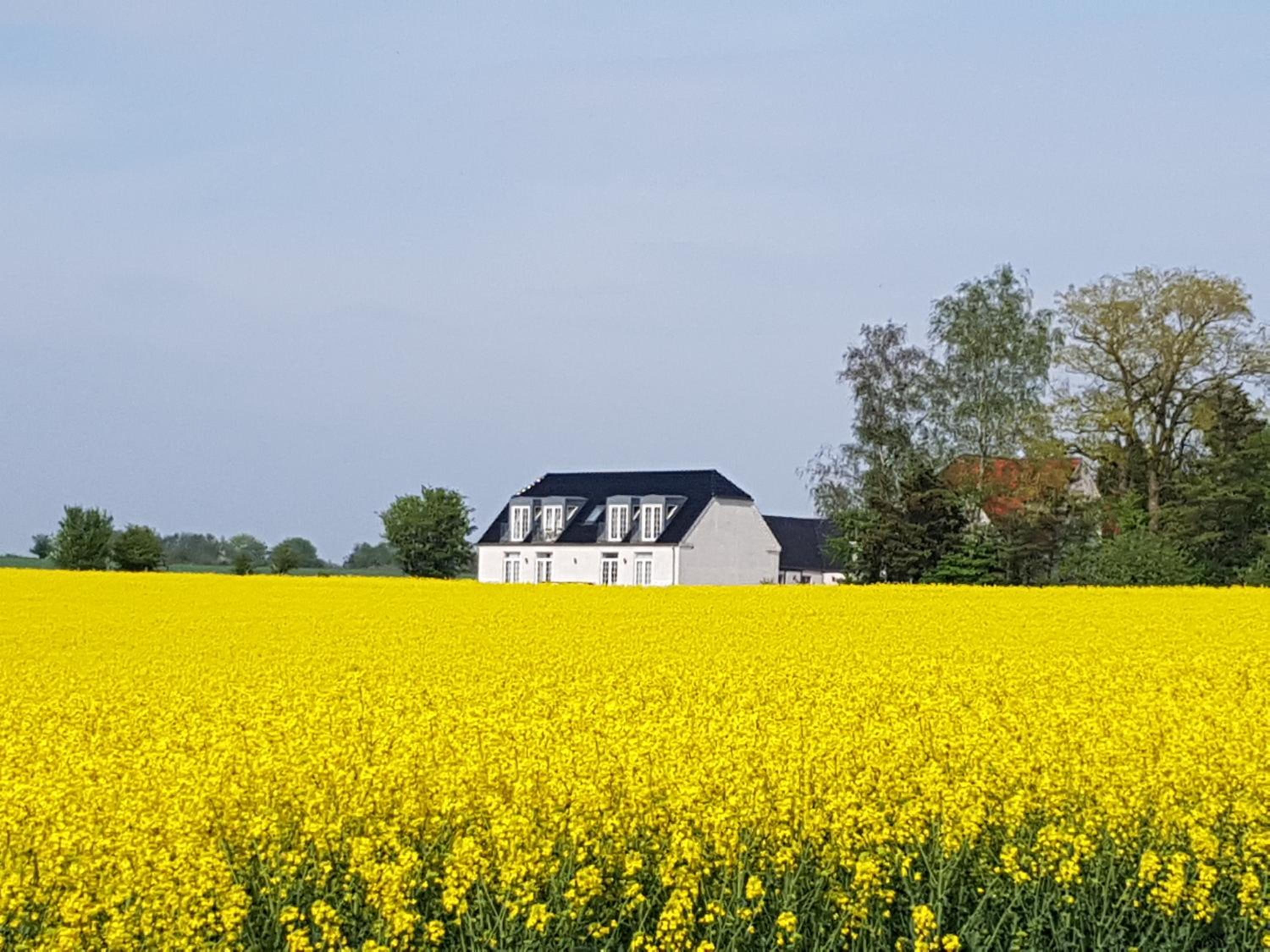 Roskilde B&B