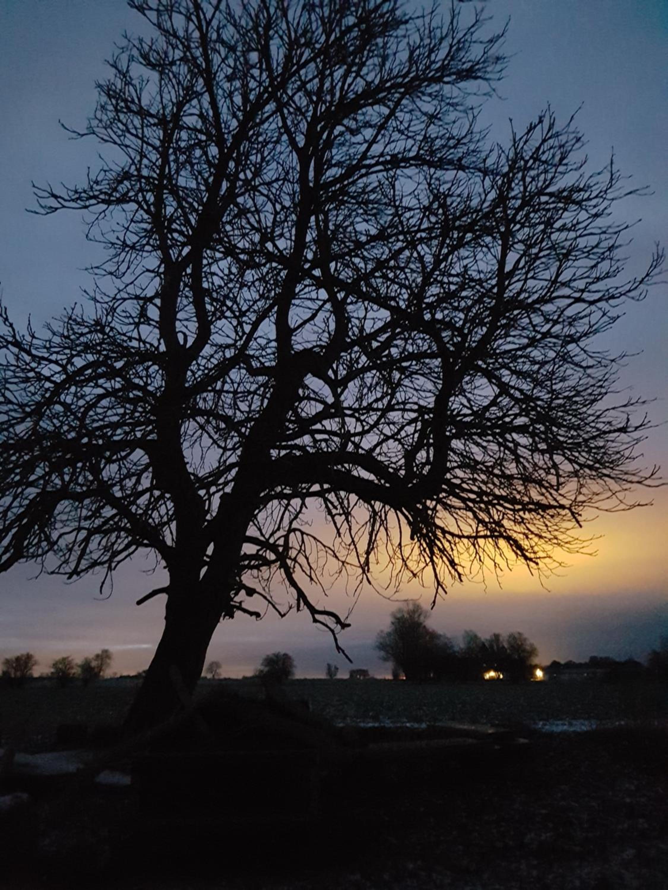 Roskilde B&B