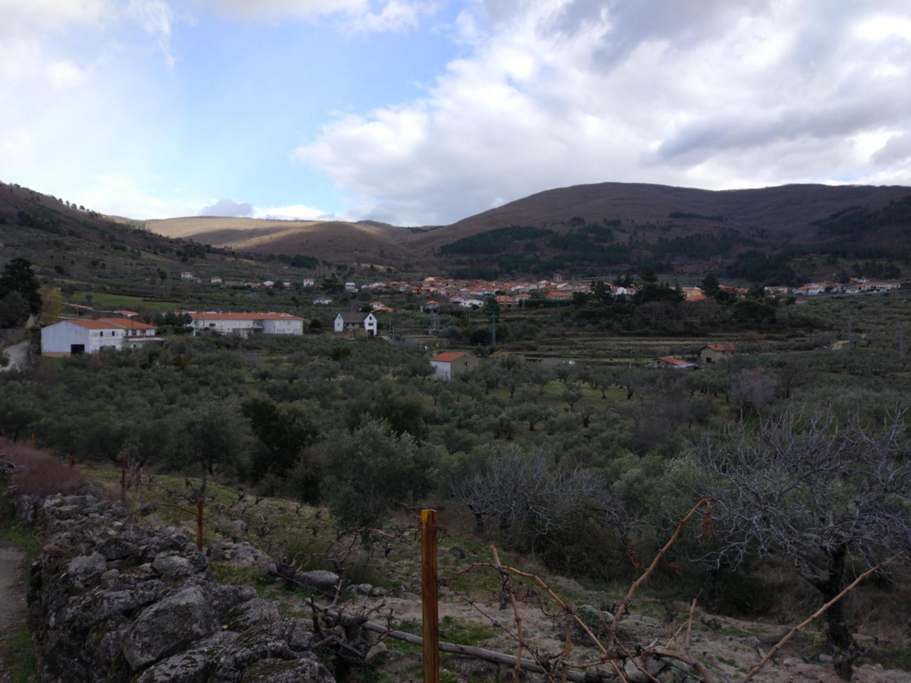 Photo 42