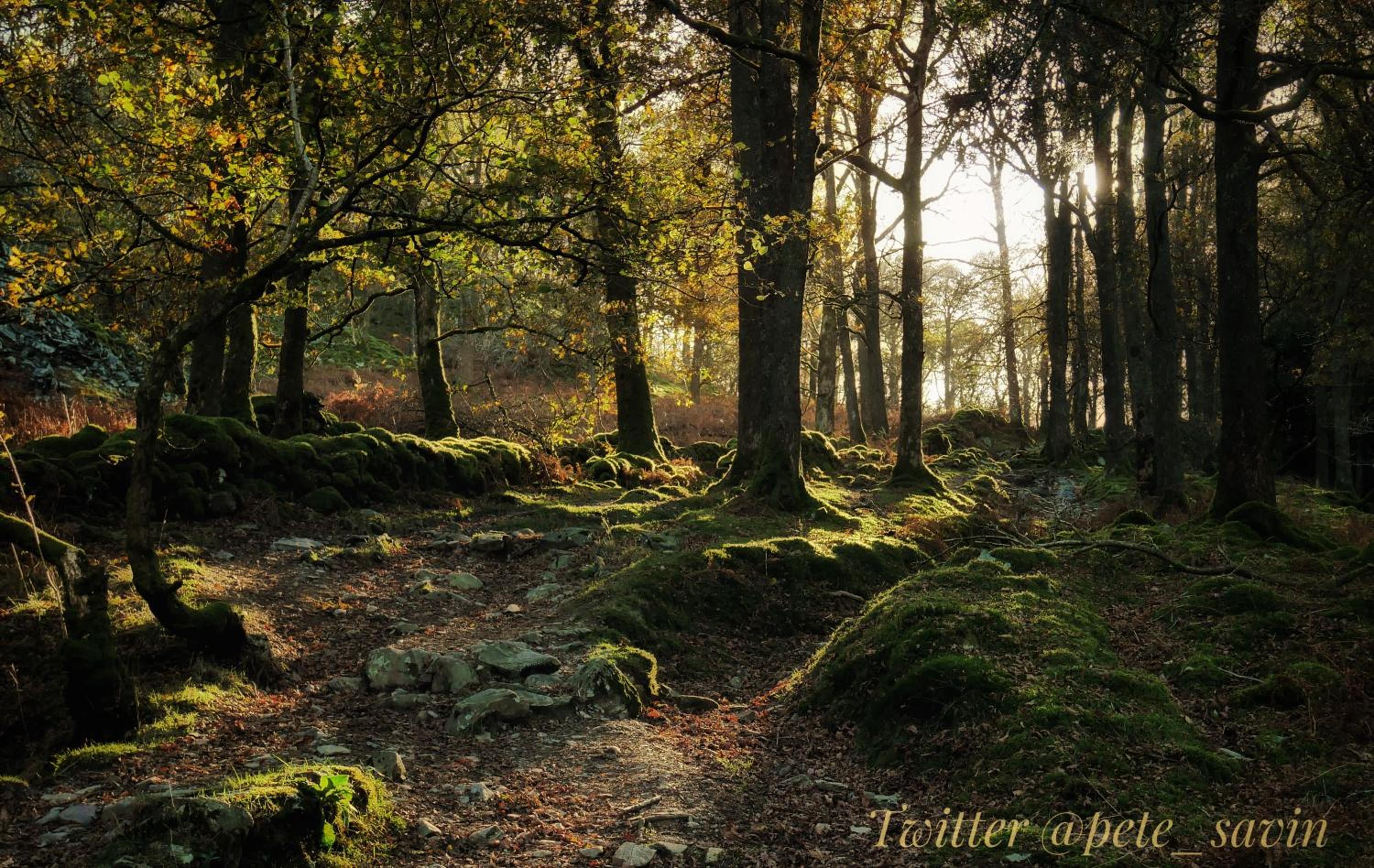 Elterwater Hostel