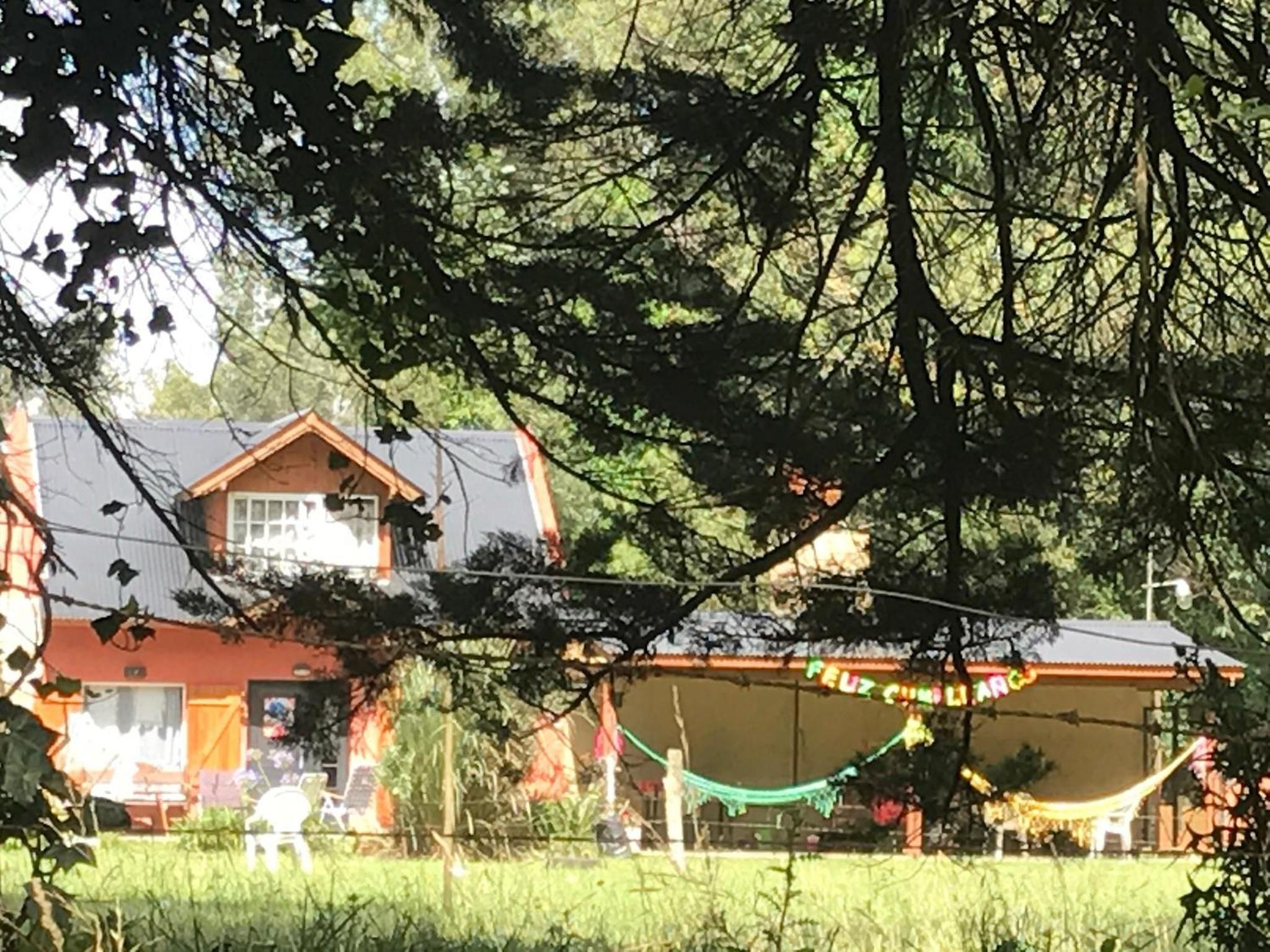 Vivi's House