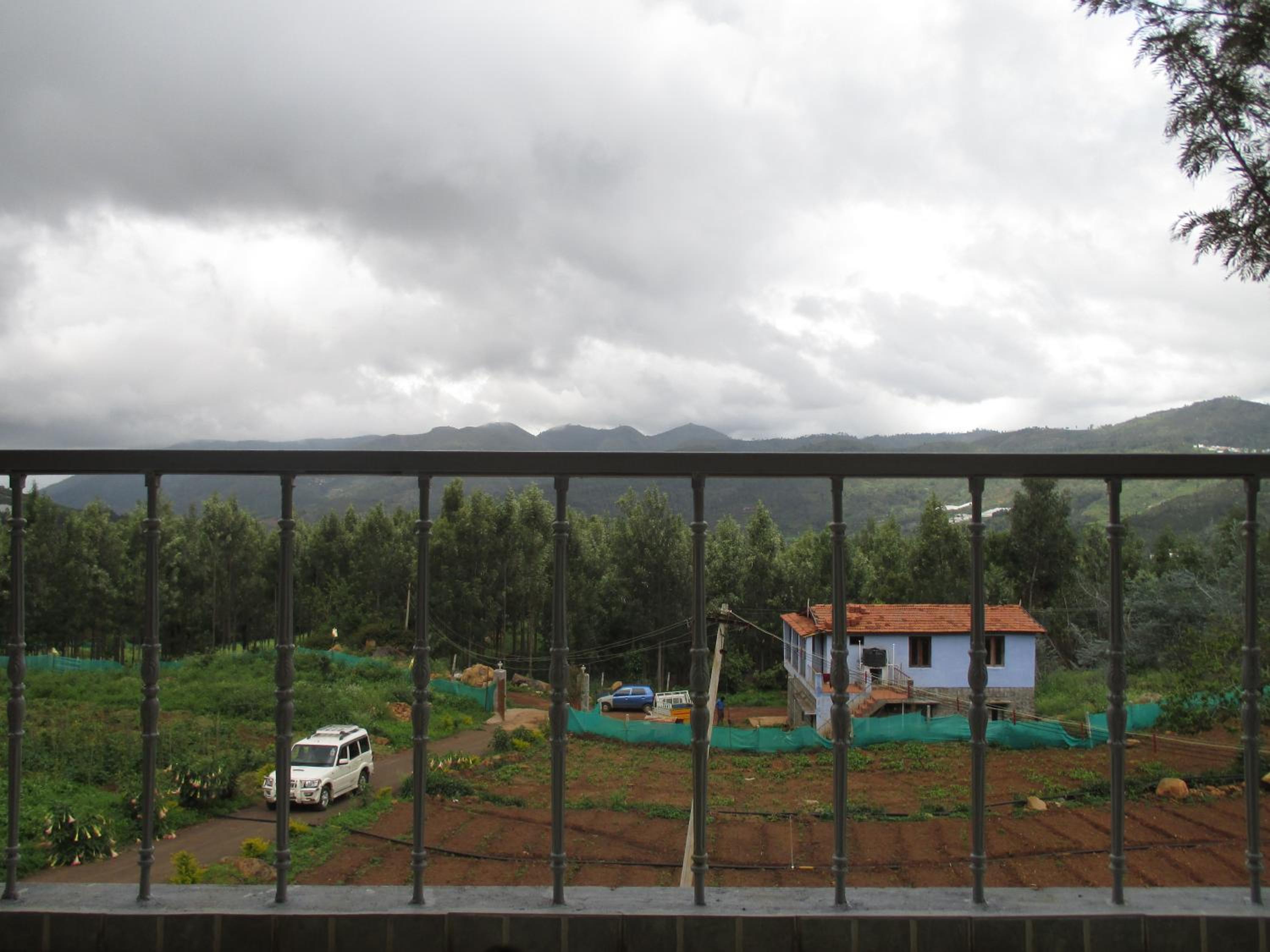 Photo 44