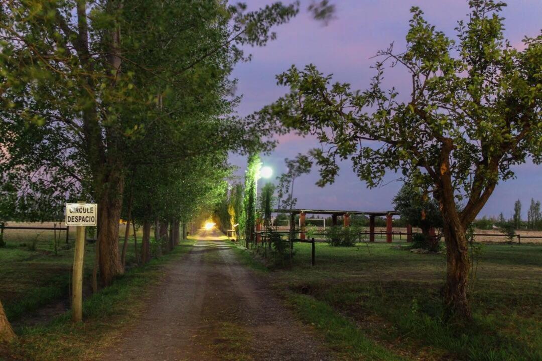 Finca Silvestre