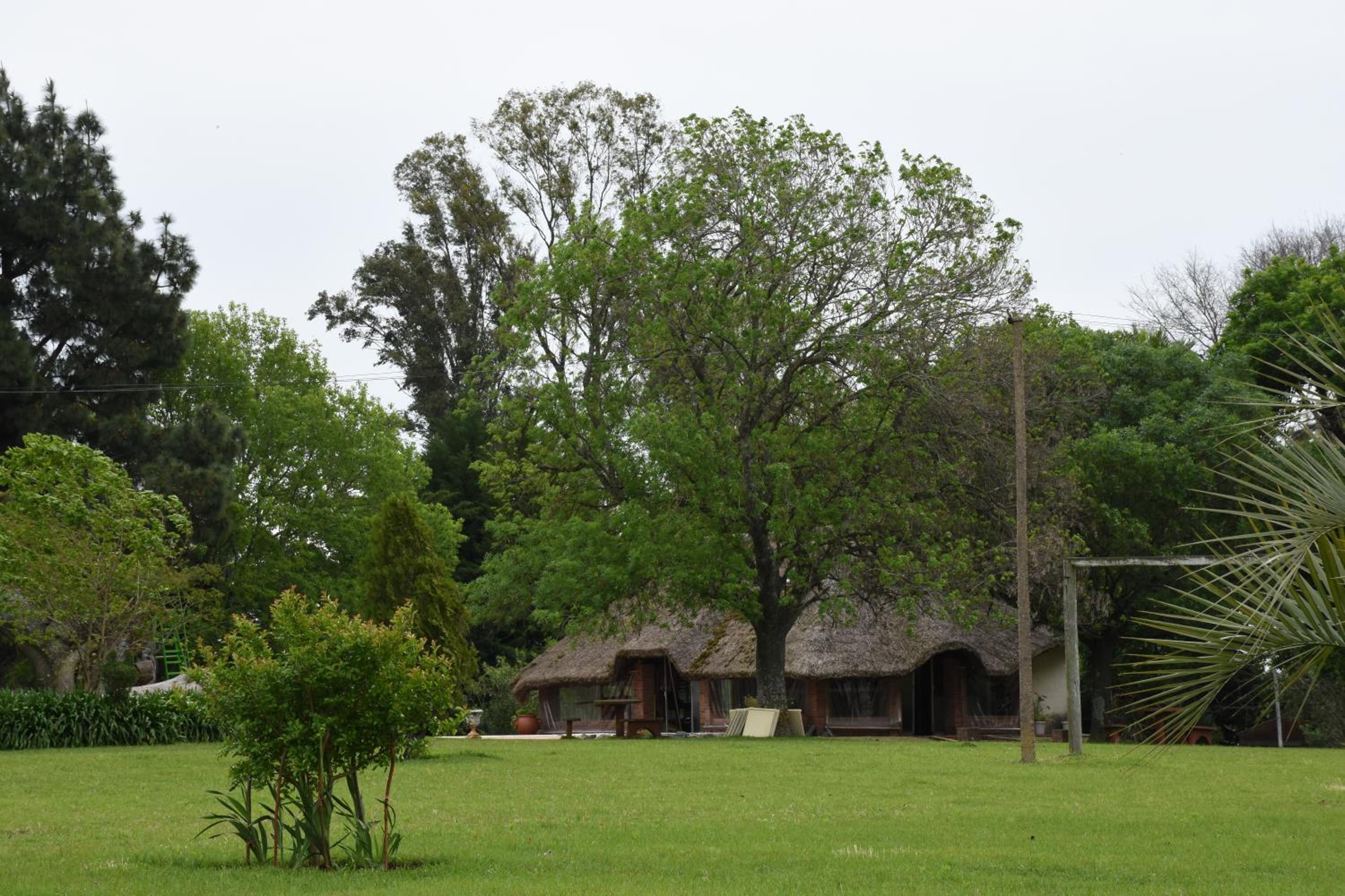 Photo 47