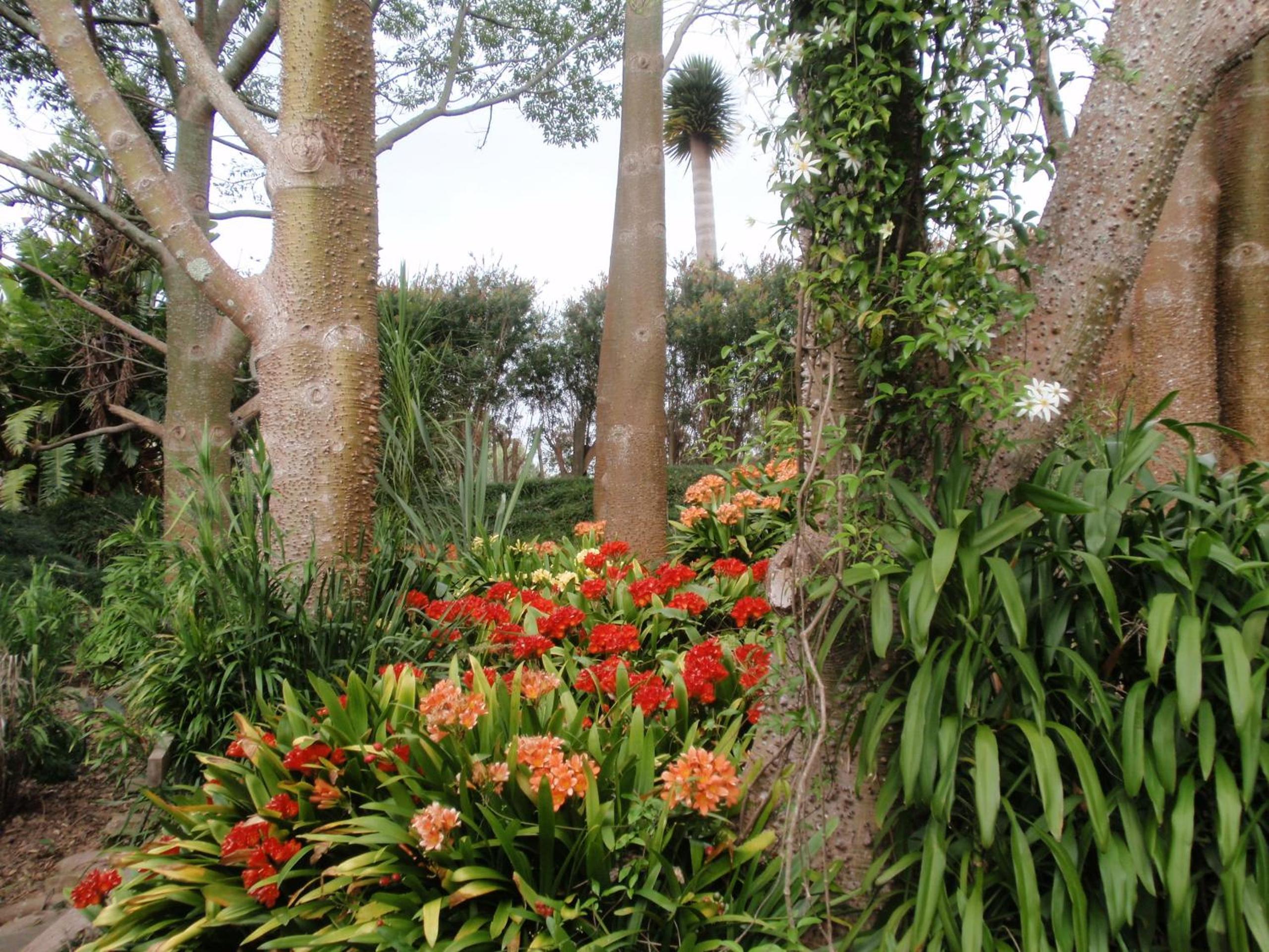 Wharepuke Subtropical Accommodation