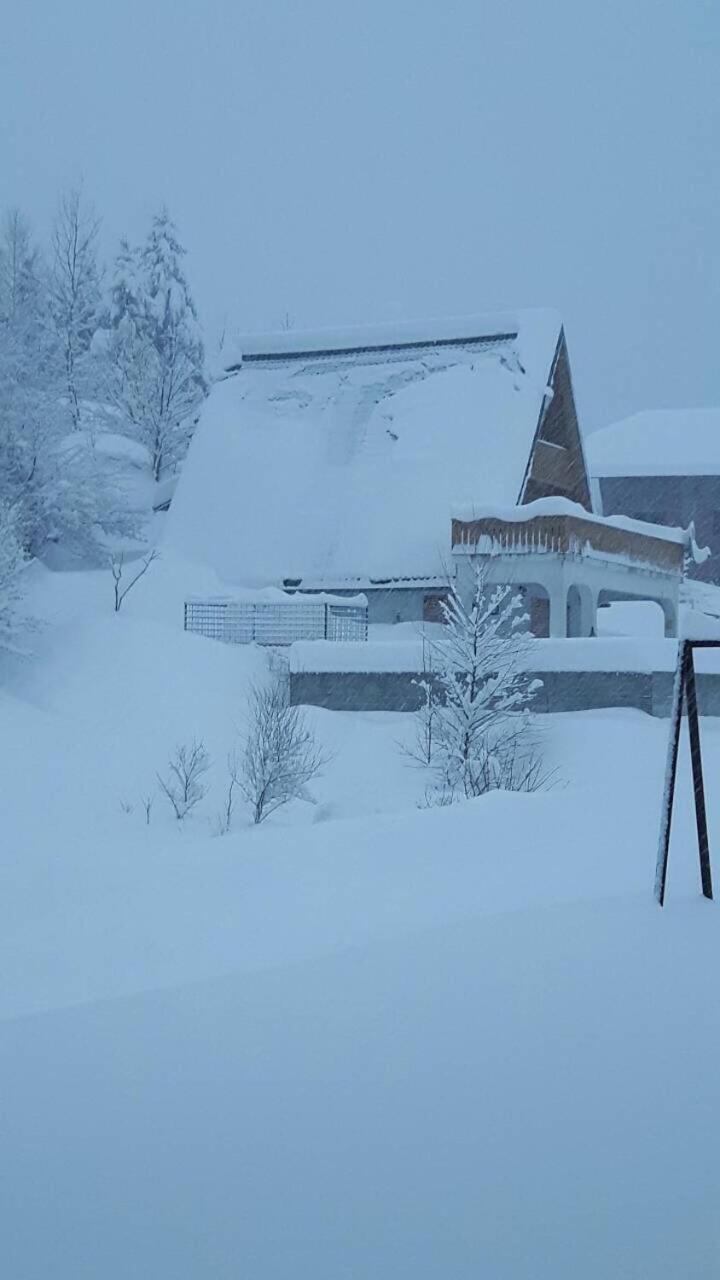House with Pool and Sauna view 2