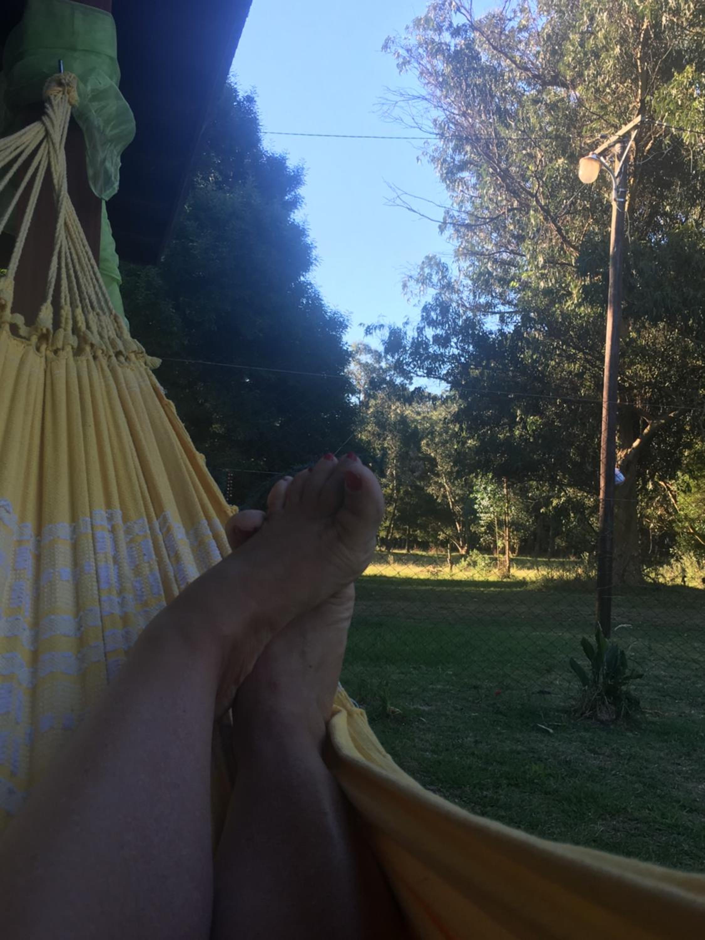 Vivi's House