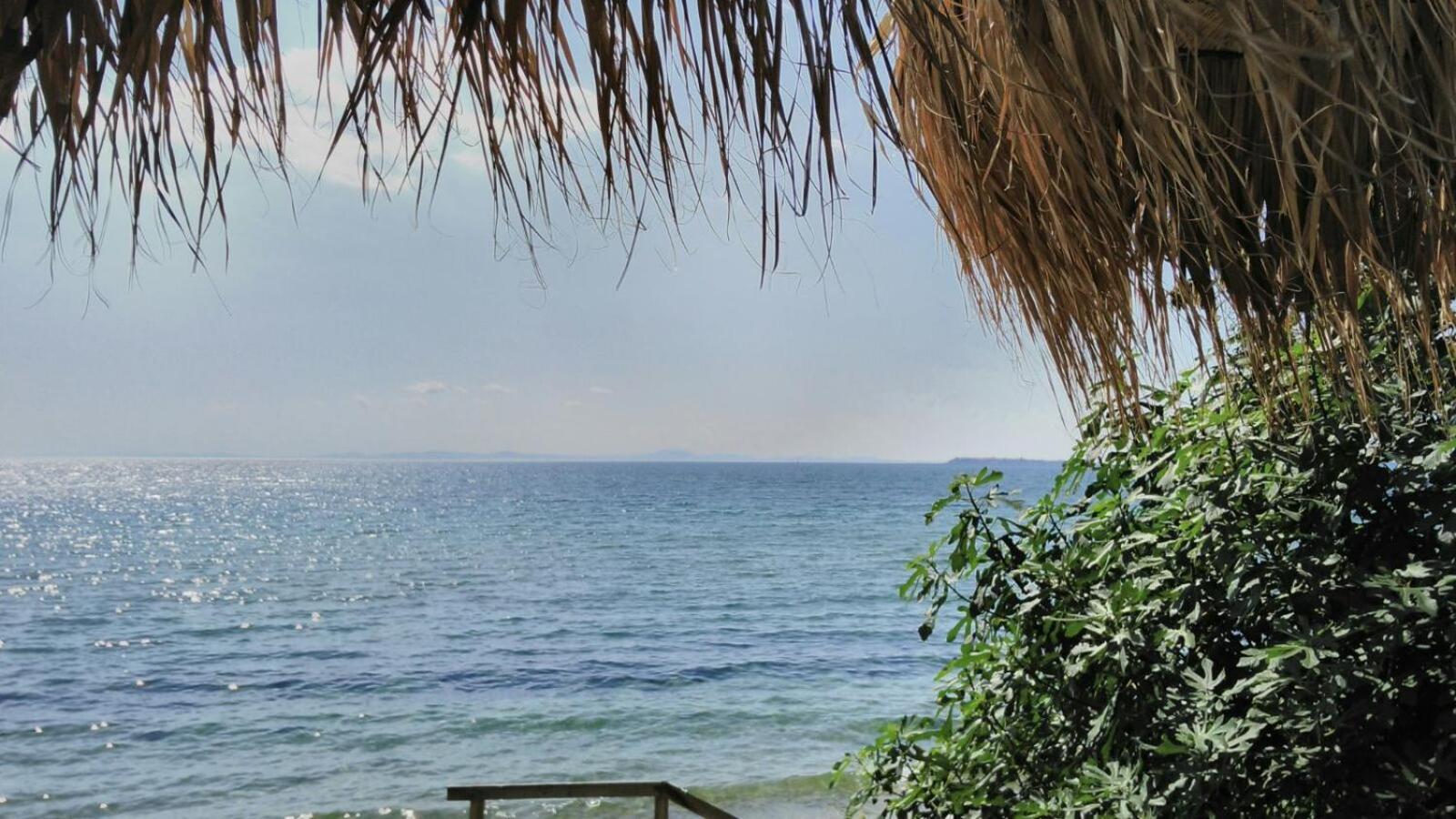 Alex Beach Apartment