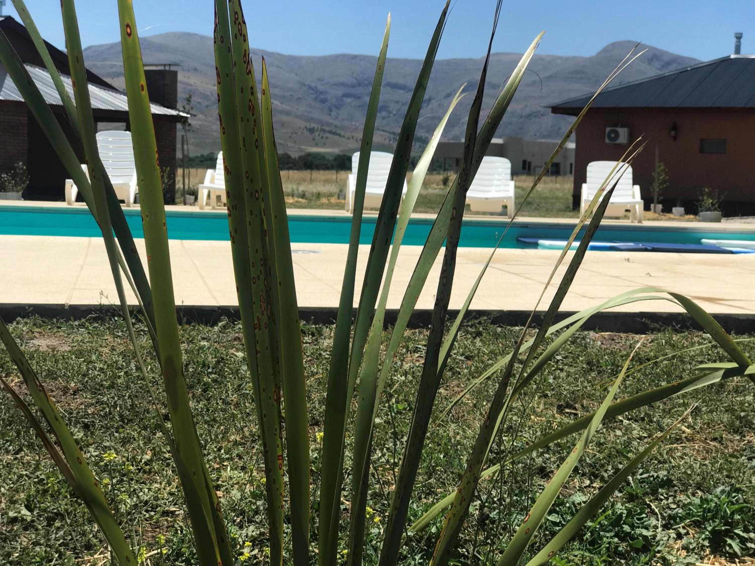 Puesta del Sol Houses & Nature