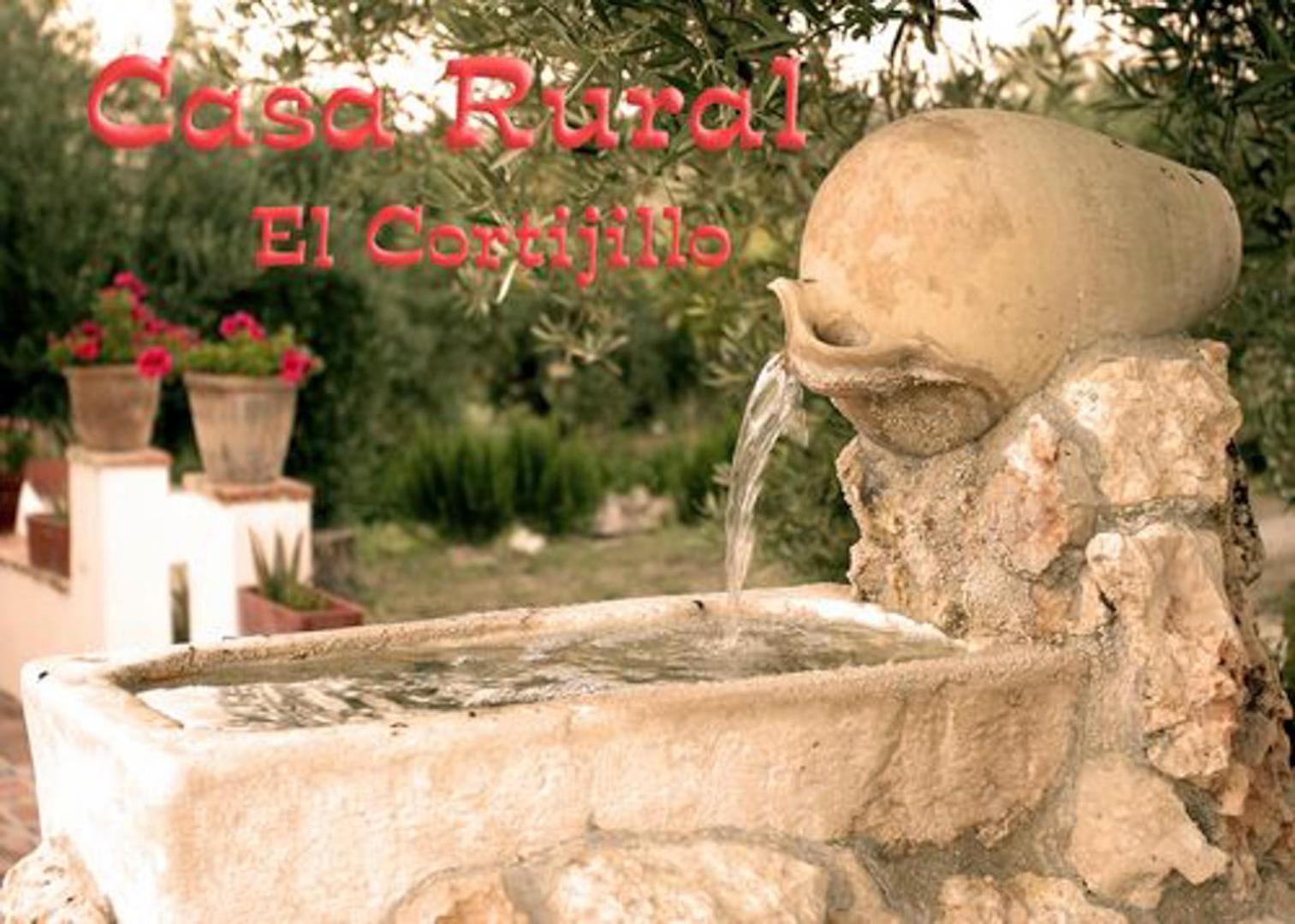Photo 46