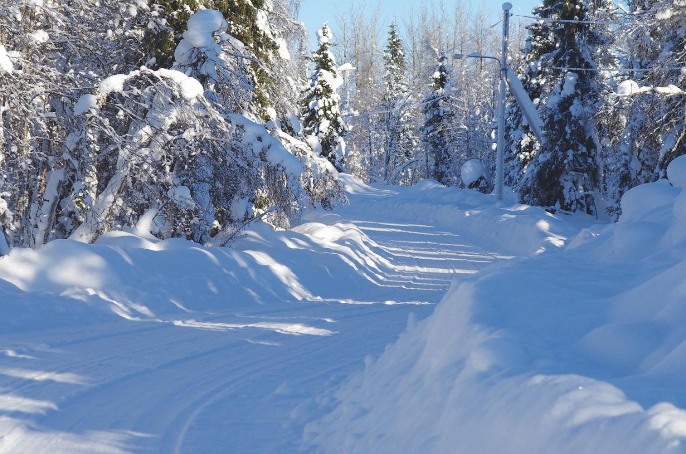 Lapland Snow Cabin