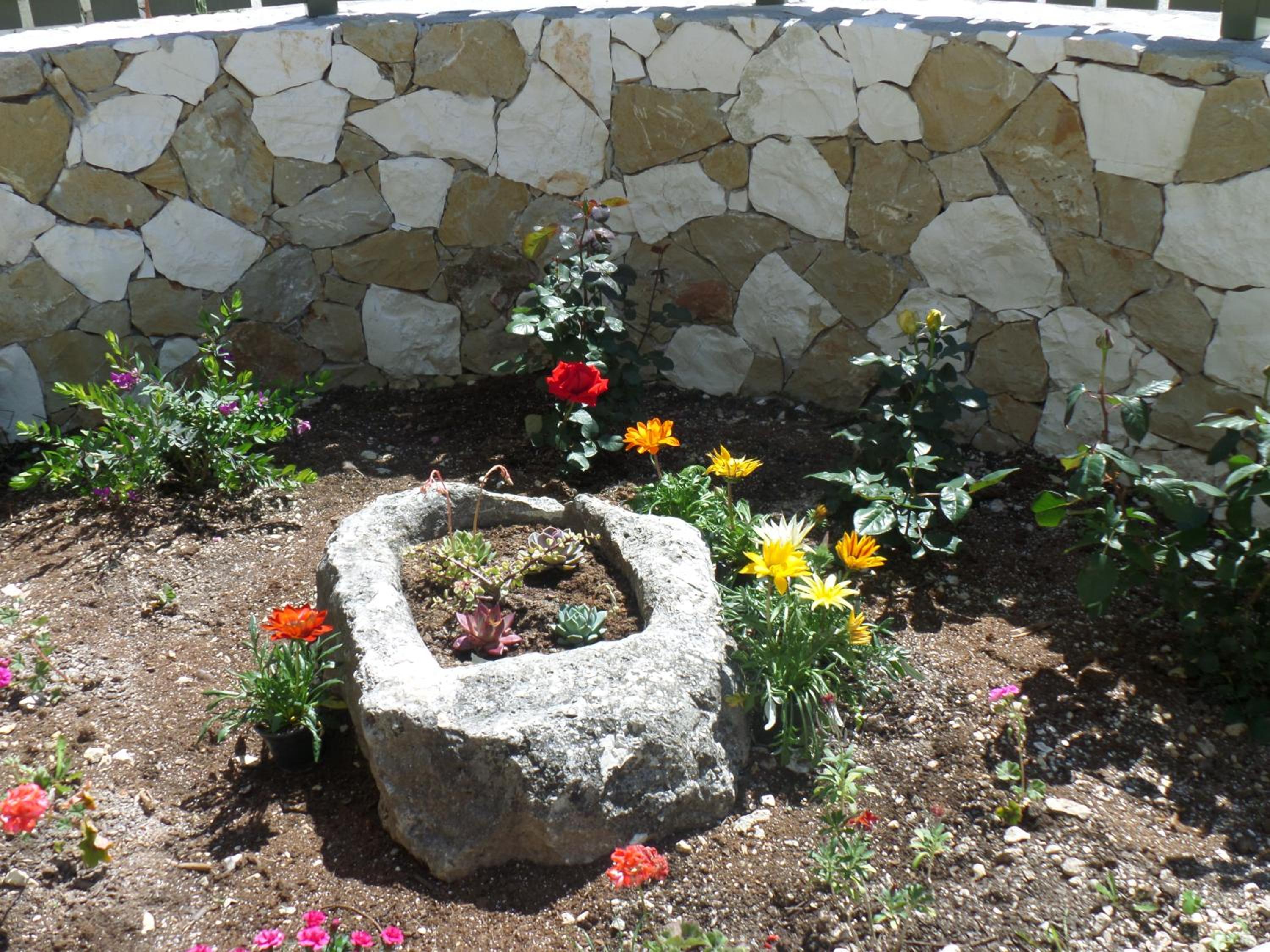 Photo 6
