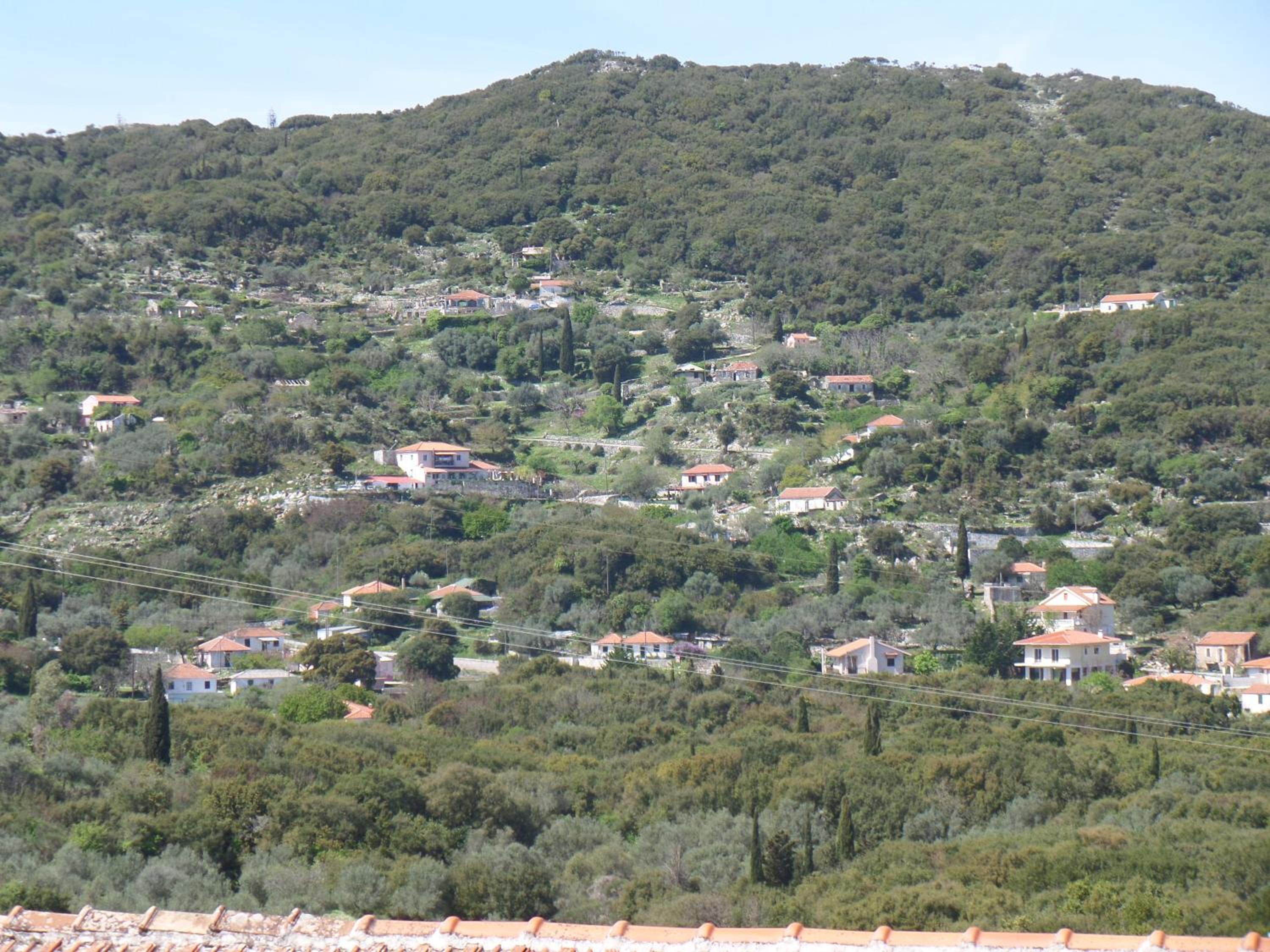 Photo 30