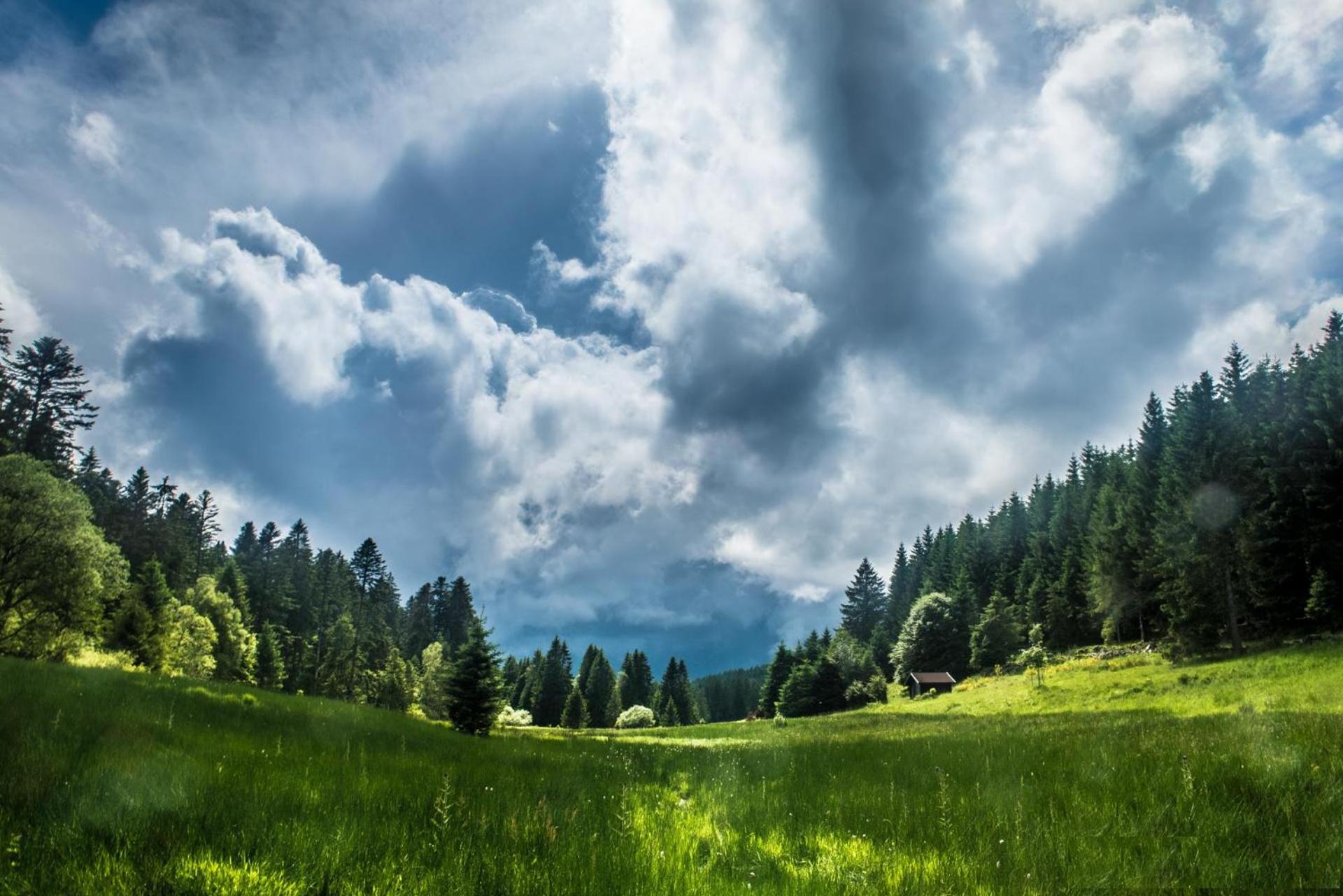 LE QUARTZ DES HAUTES-VOSGES