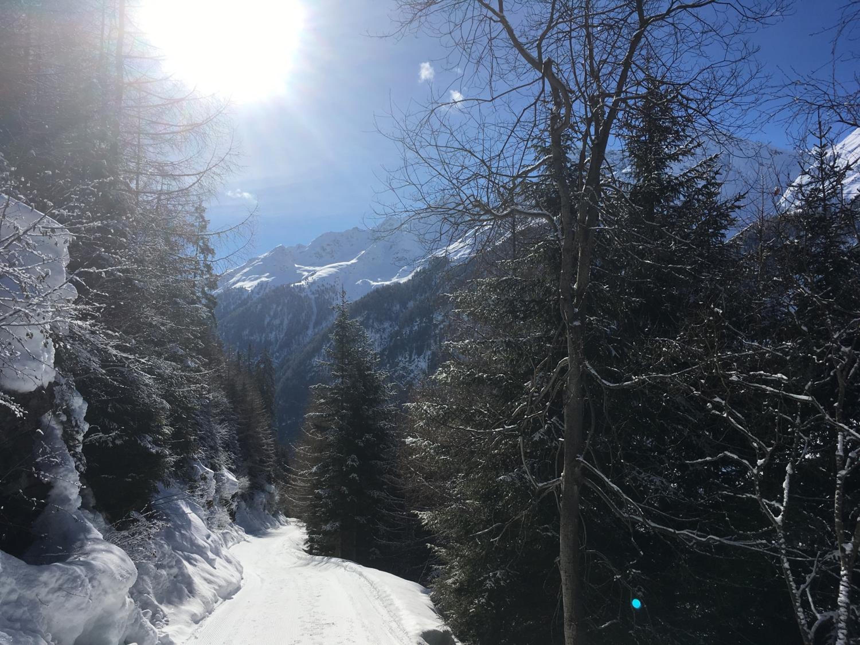 Haus Alpina
