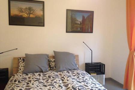 Photo 47