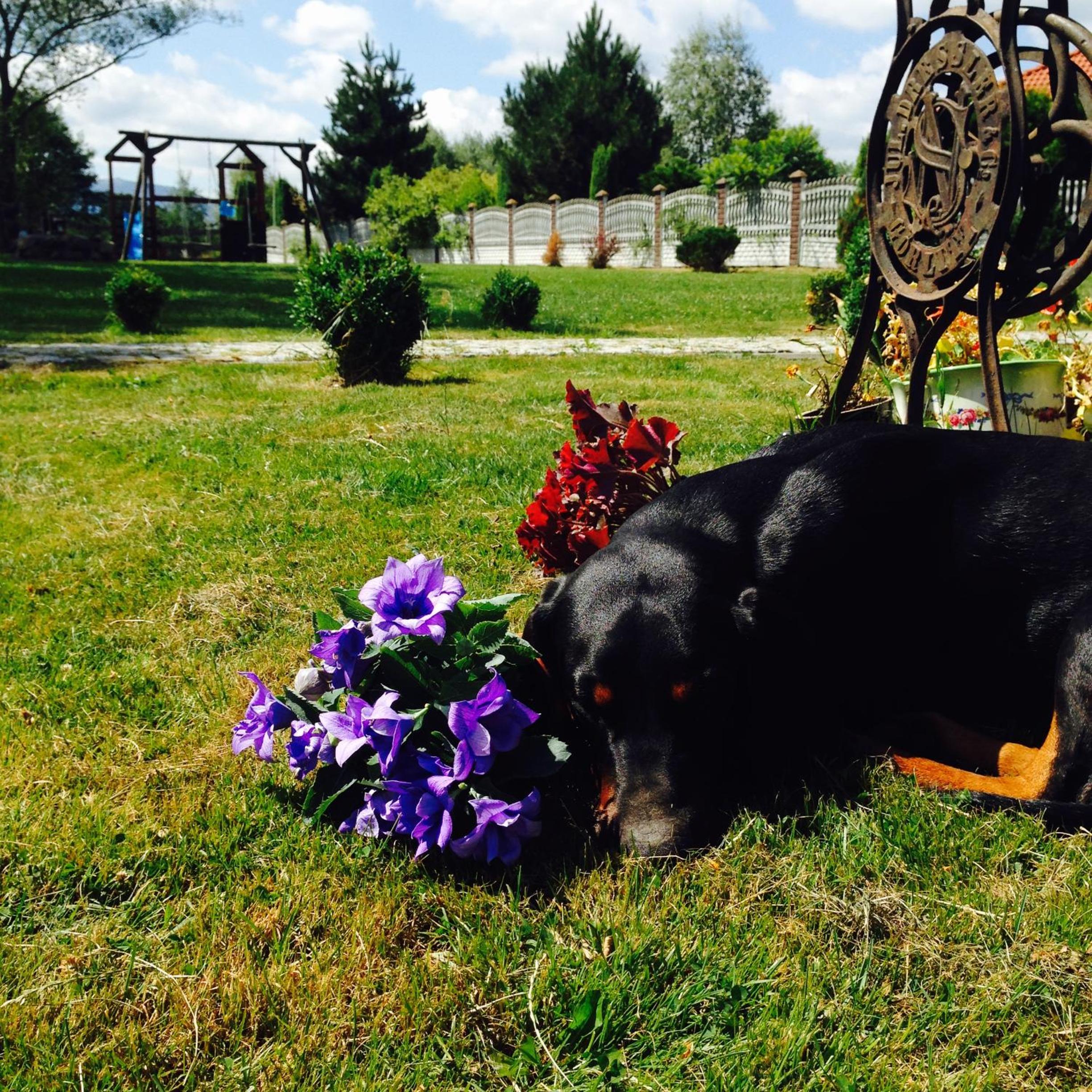 Photo 41