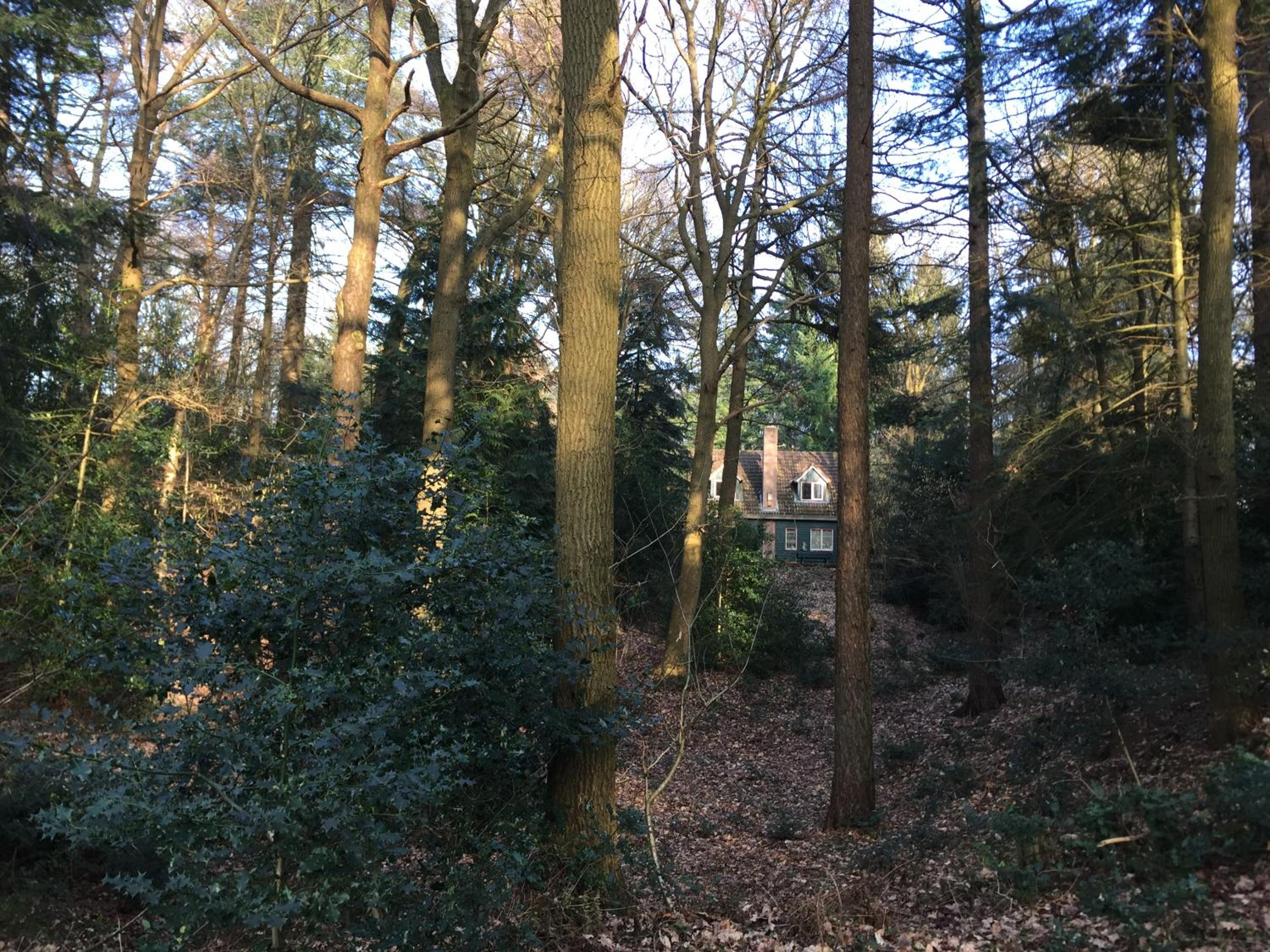 Photo 16