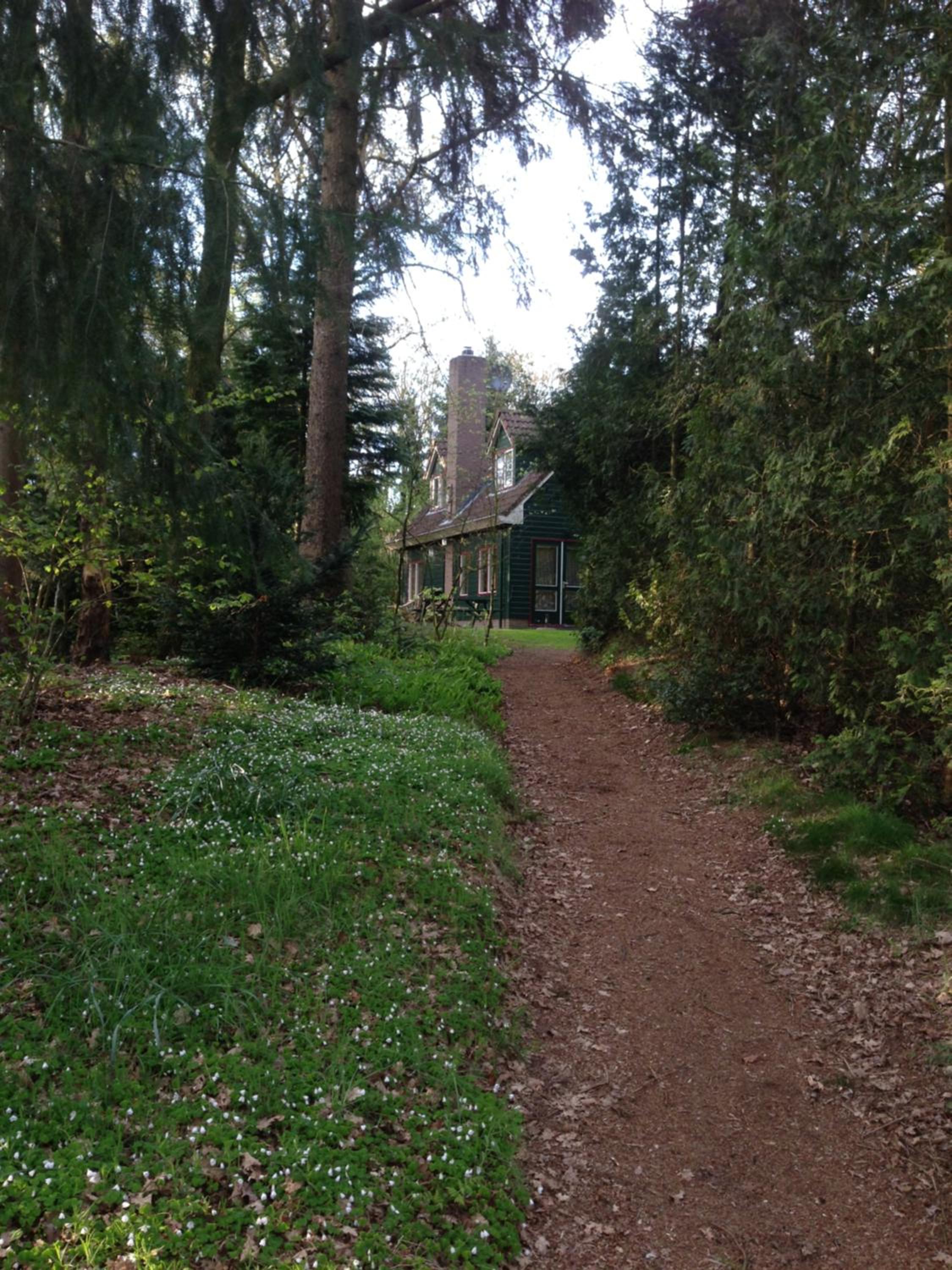 Photo 19