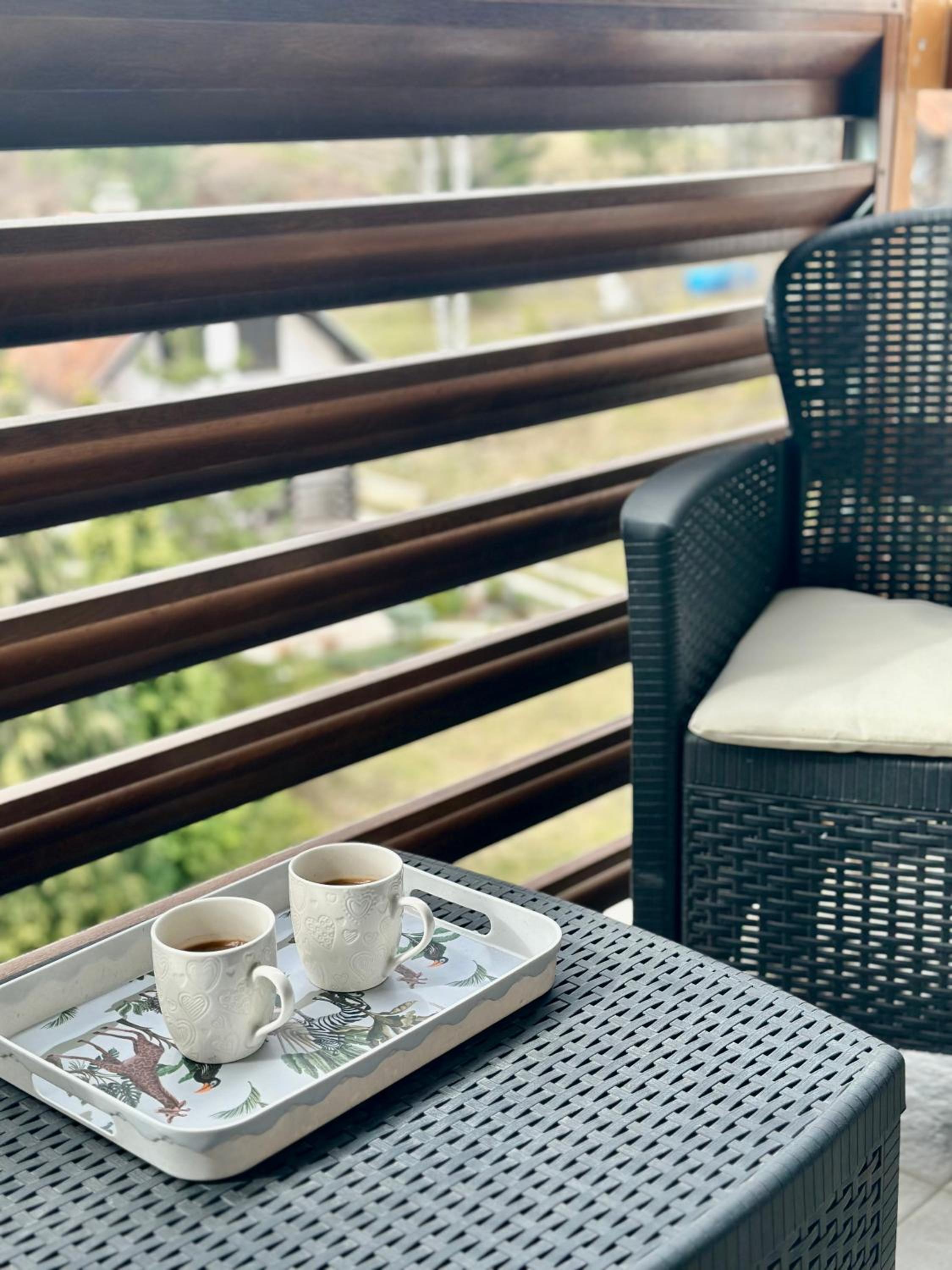 Zlatibor apartmani President X