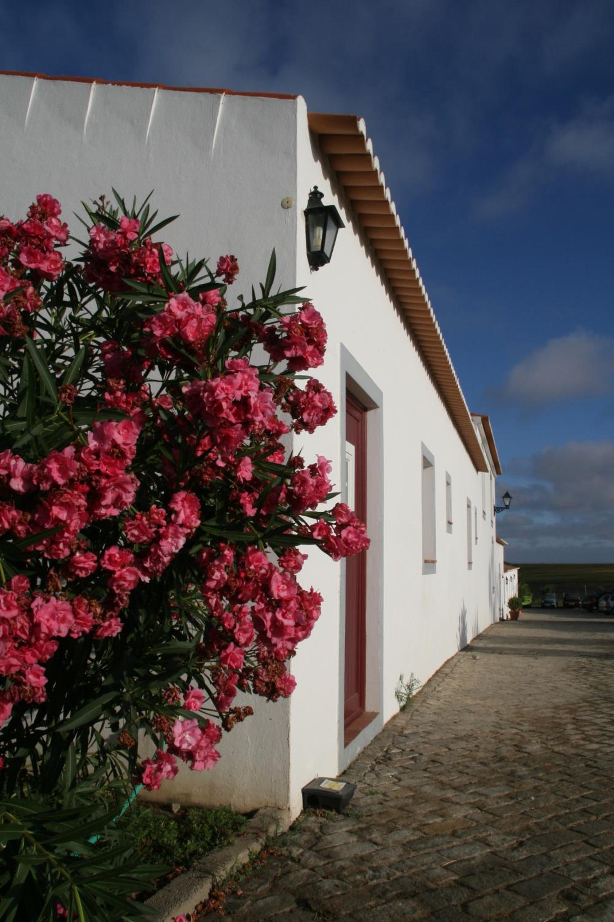 Monte Da Morena Agro-Turismo view 3