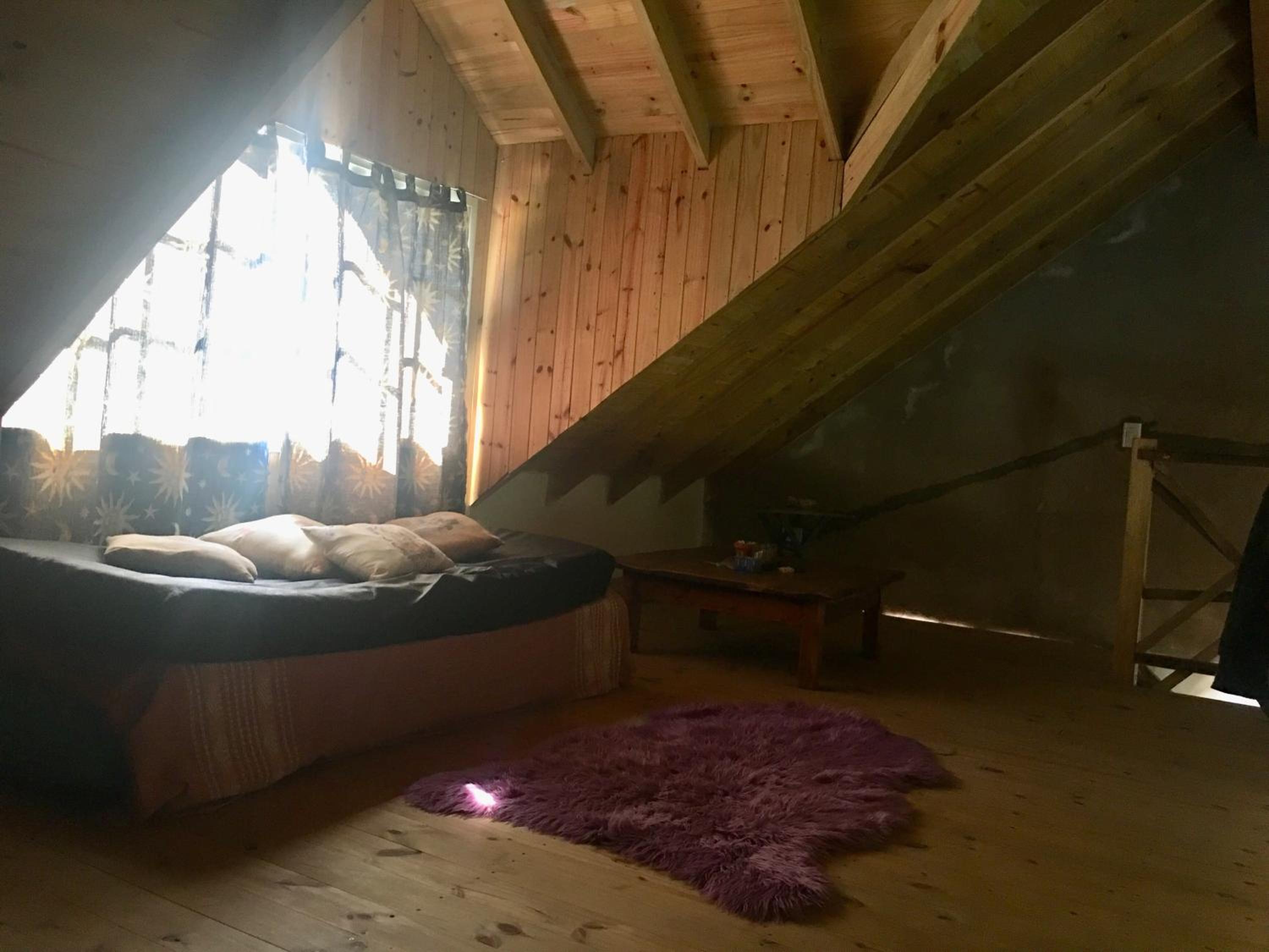 Vivi's House
