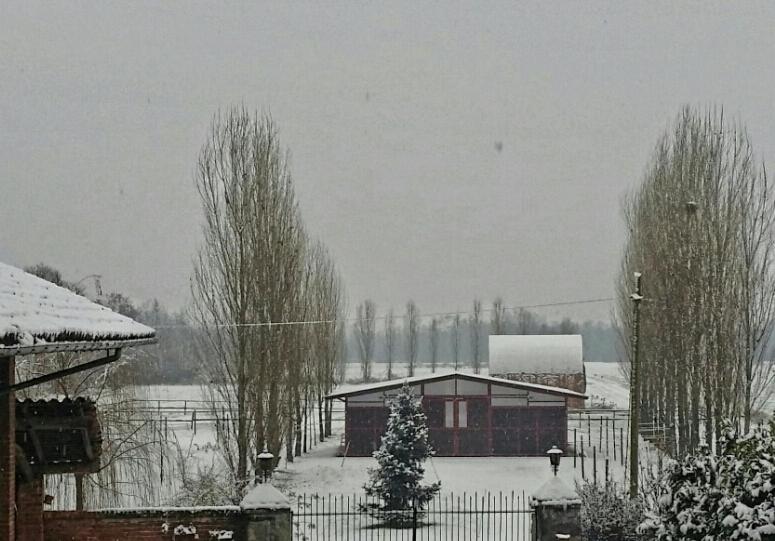 Az.Agr.Cascina Moretta view 5