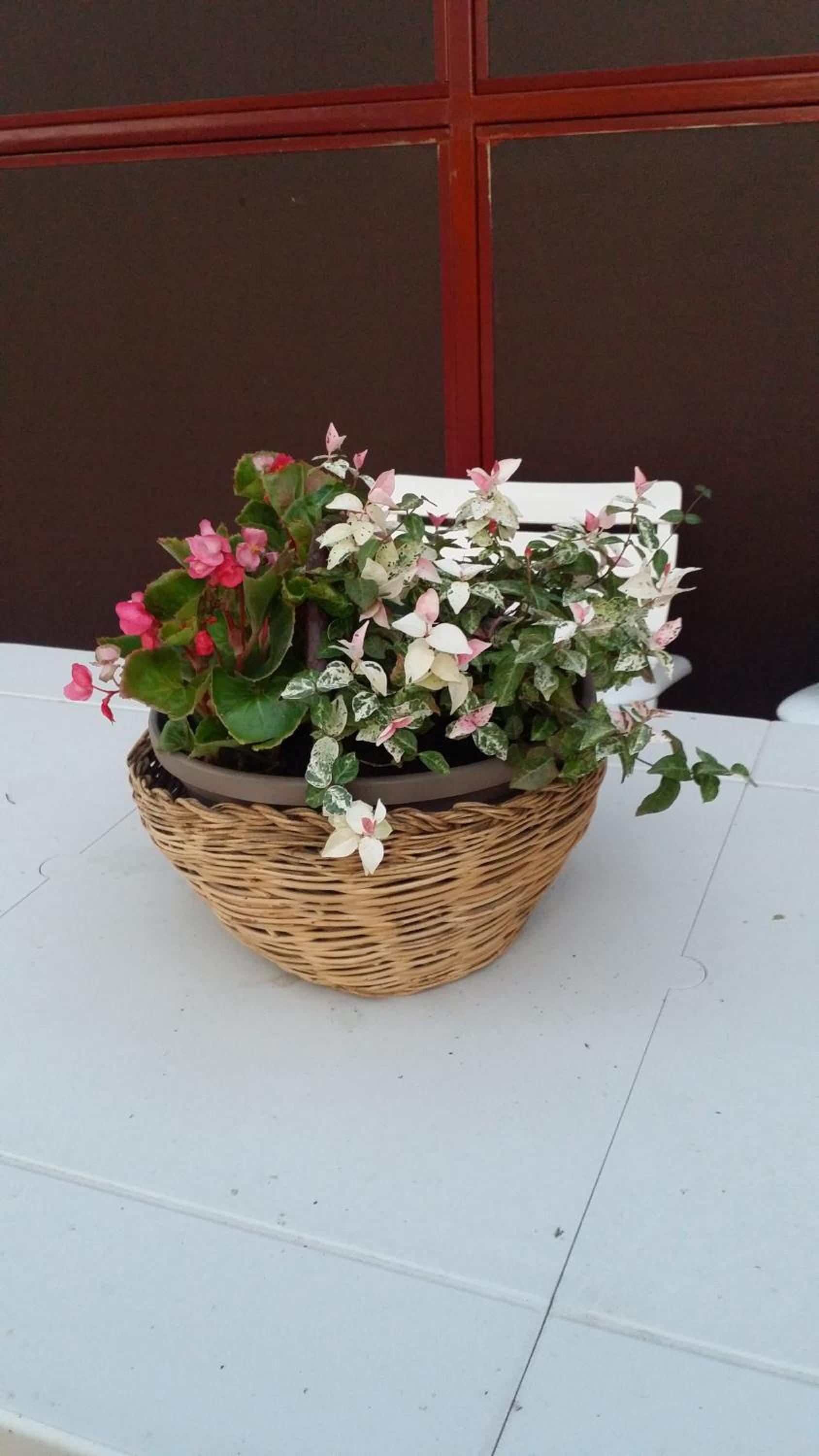 Photo 21